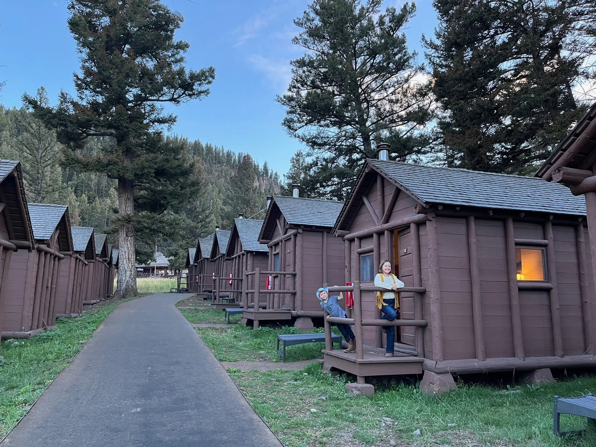 Roosevelt cabins
