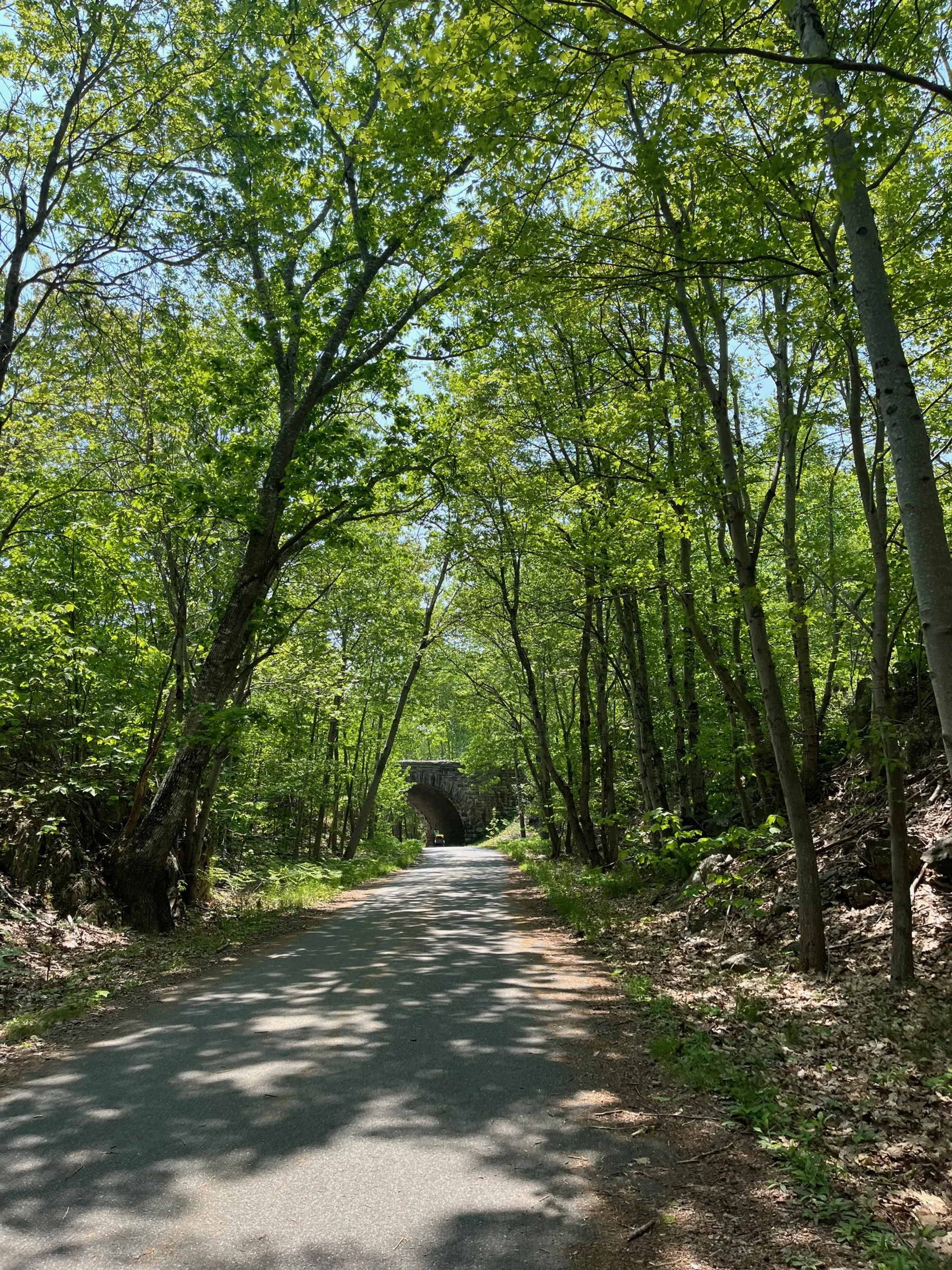 Carriage road to Bar Harbor with arched bridge