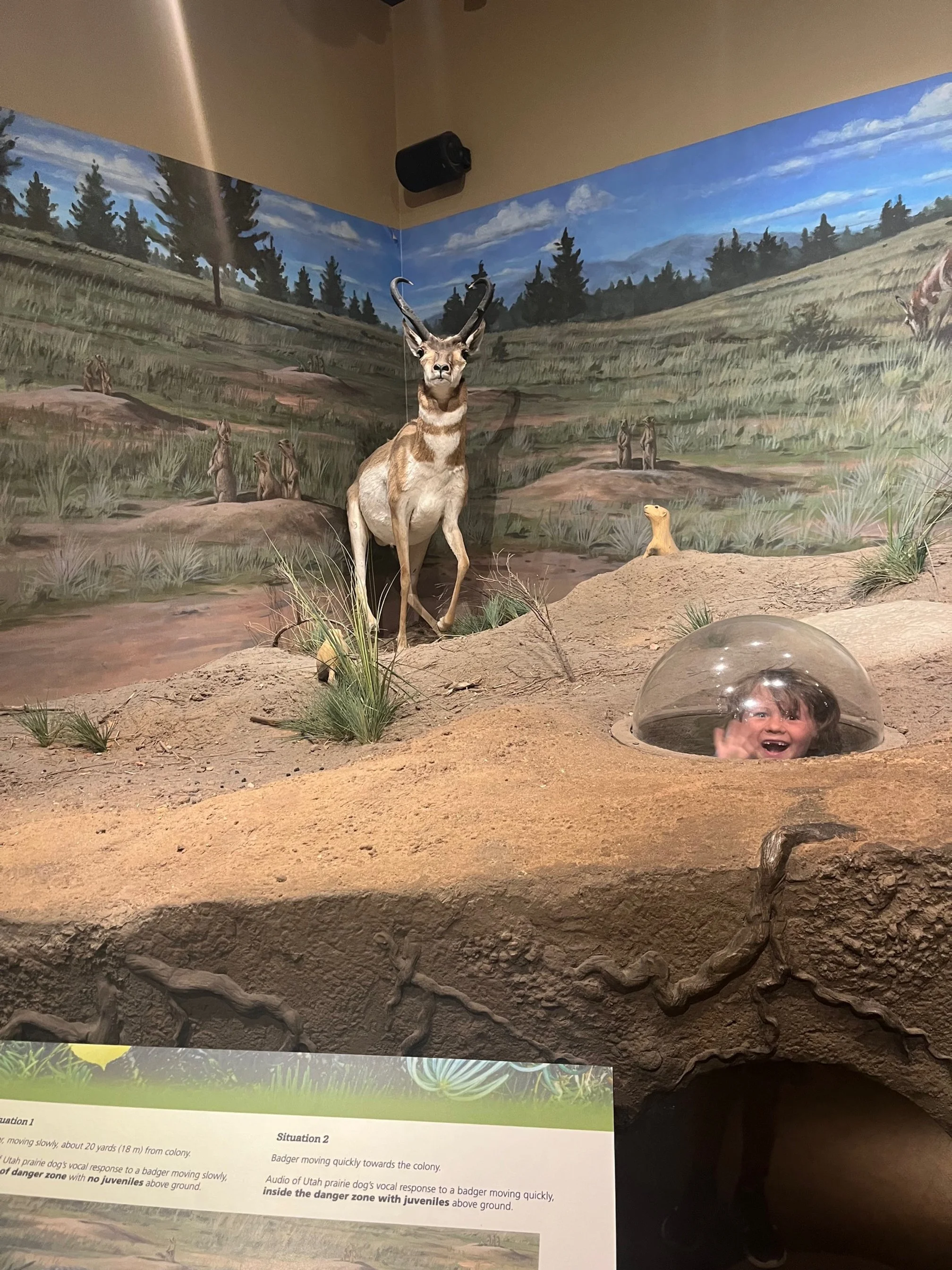 bryce-canyon-national-park-with-kids-visitors-center.jpg