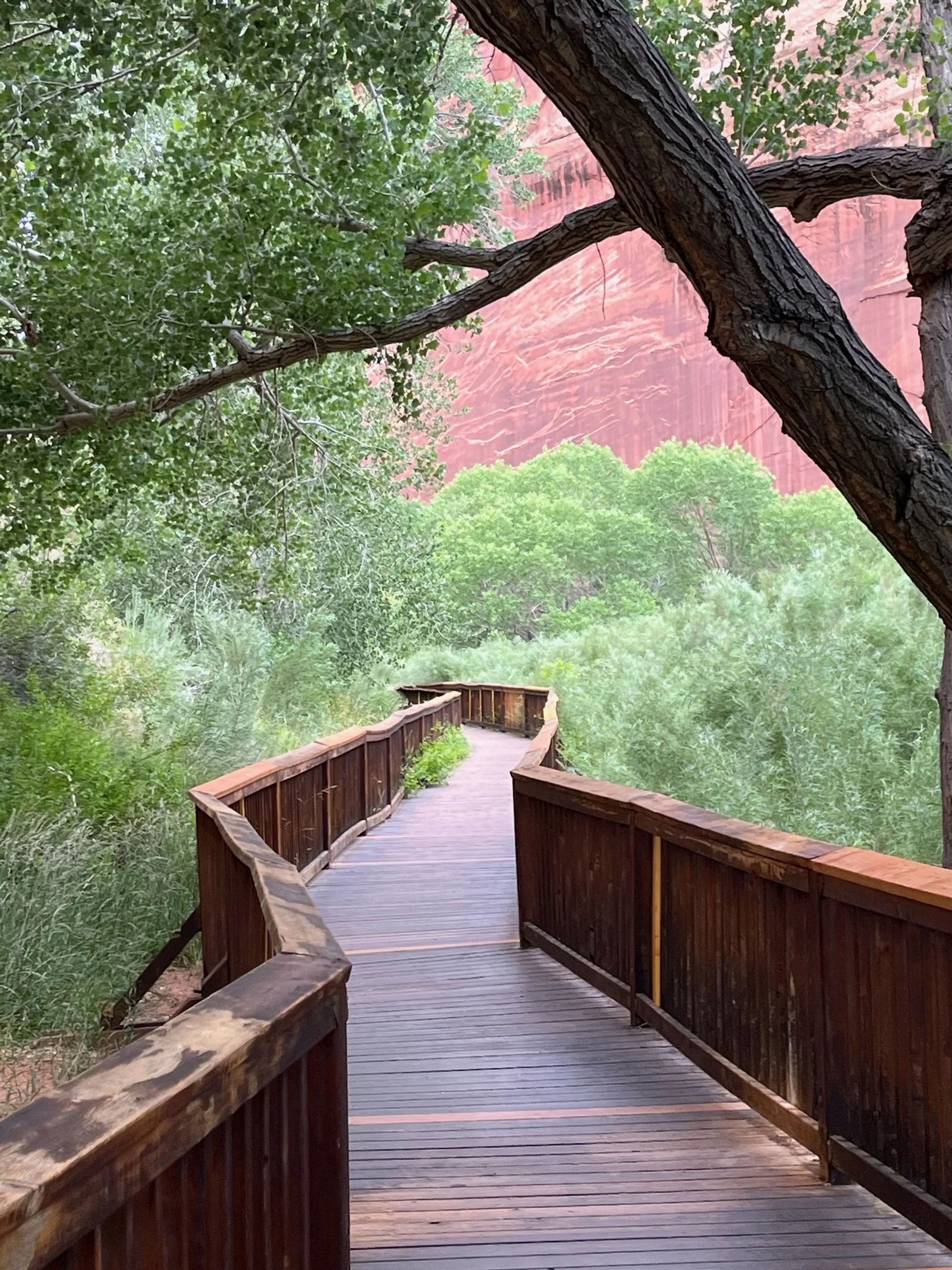 capitol-reef-national-park-with-kids-petroglyphs.jpg