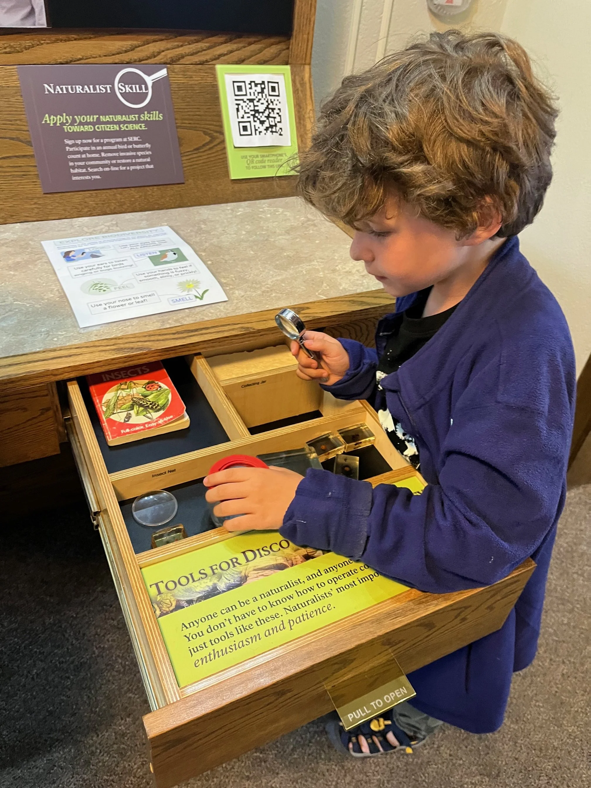 acadia-national-park-with-kids-guide-schoodic-institute-exhibits.jpg