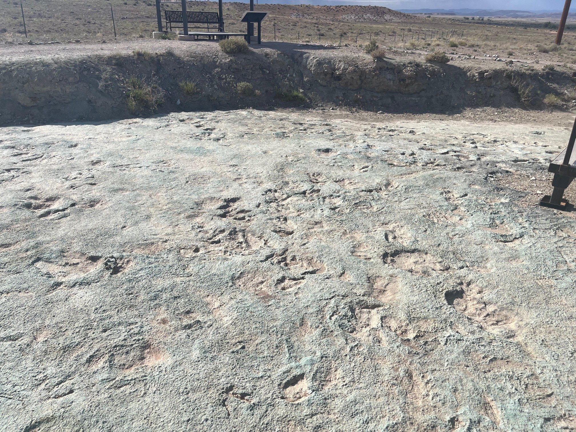 mill-canyon-dinosaur-tracksite-bone-trail-footprints.jpg