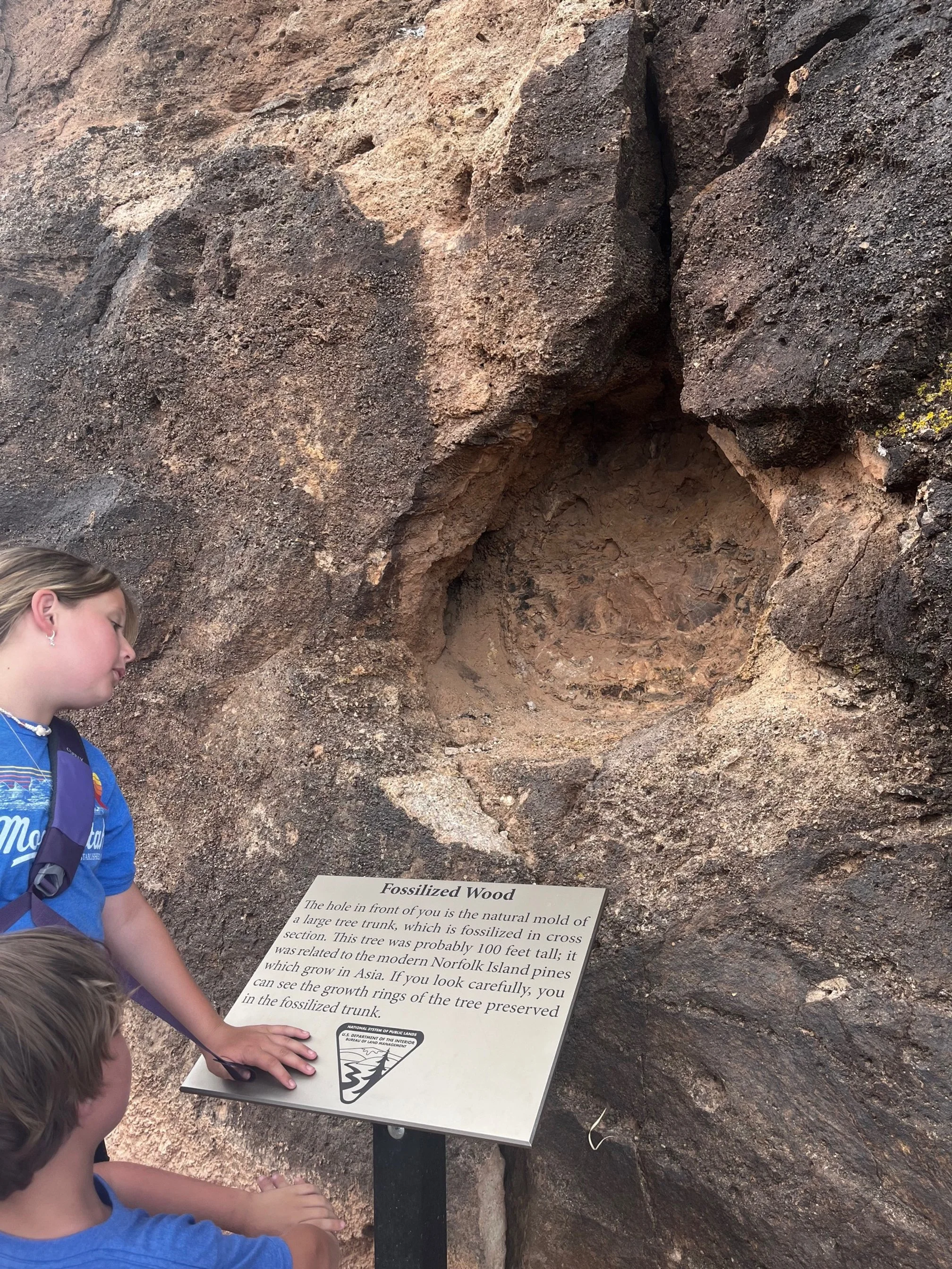 mill-canyon-dinosaur-tracksite-bone-trail-petrified-wood.jpg
