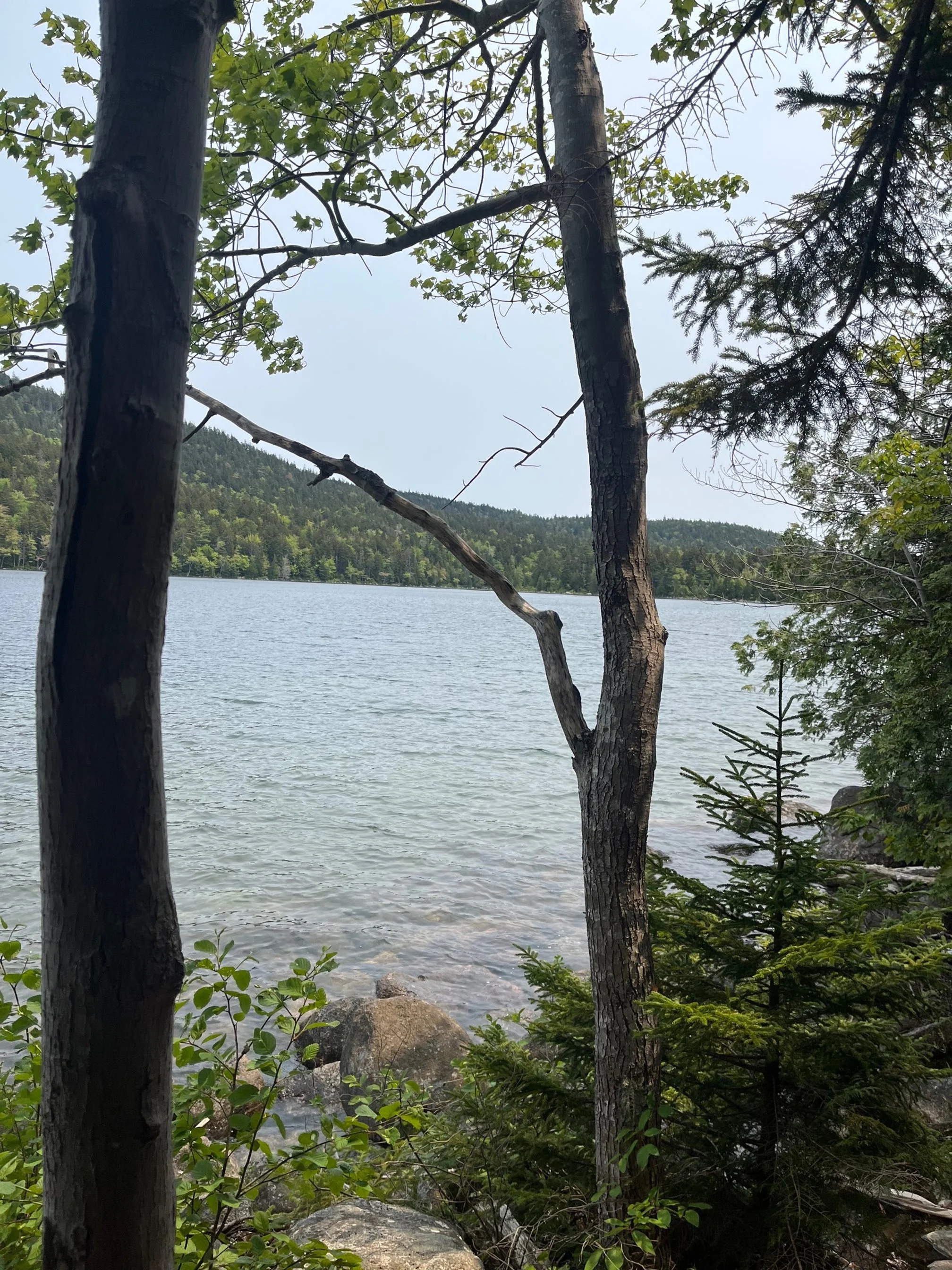 Views from the Jordan Pond Trail