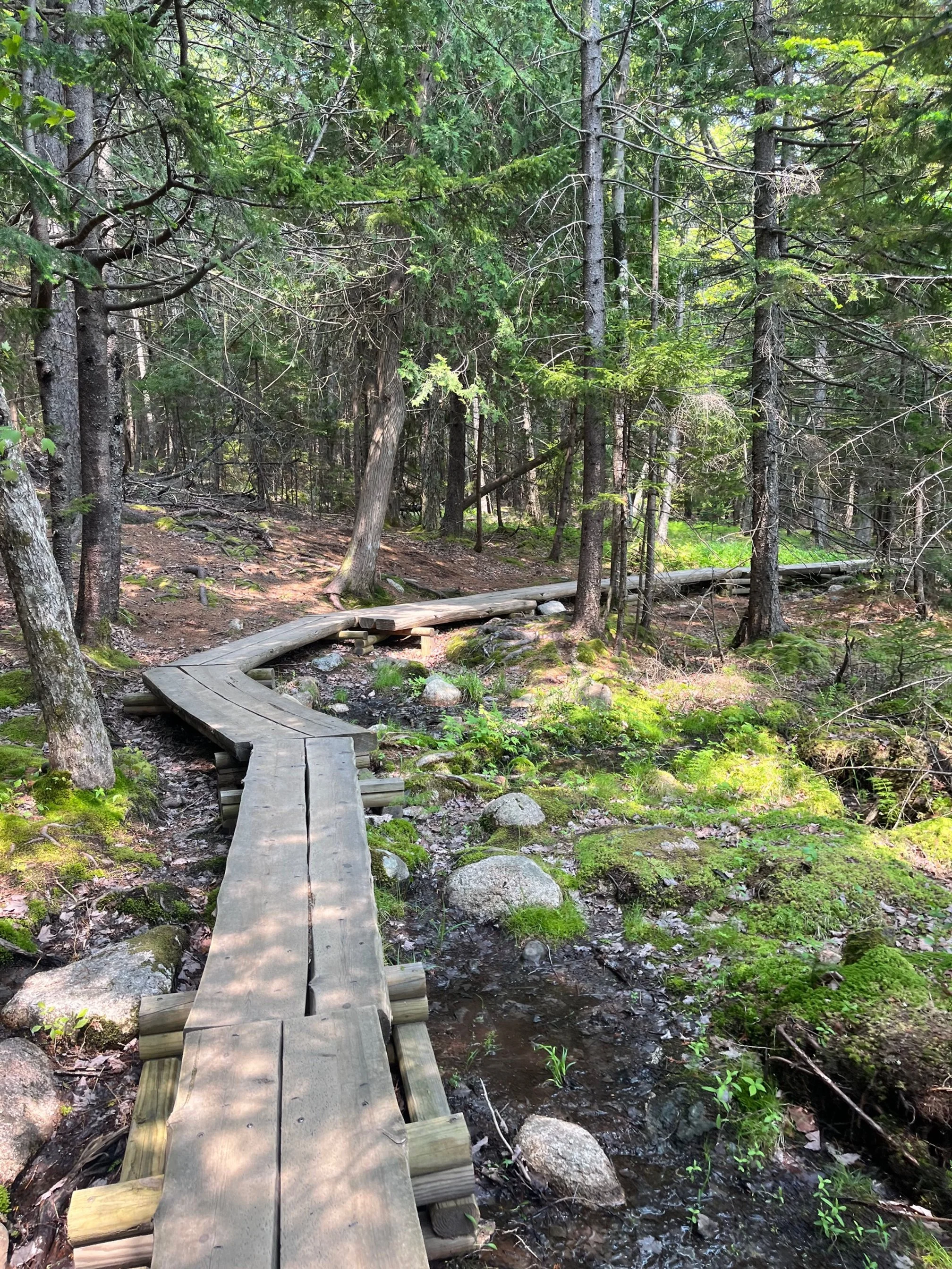 Jordan Pond Trail boardwalk