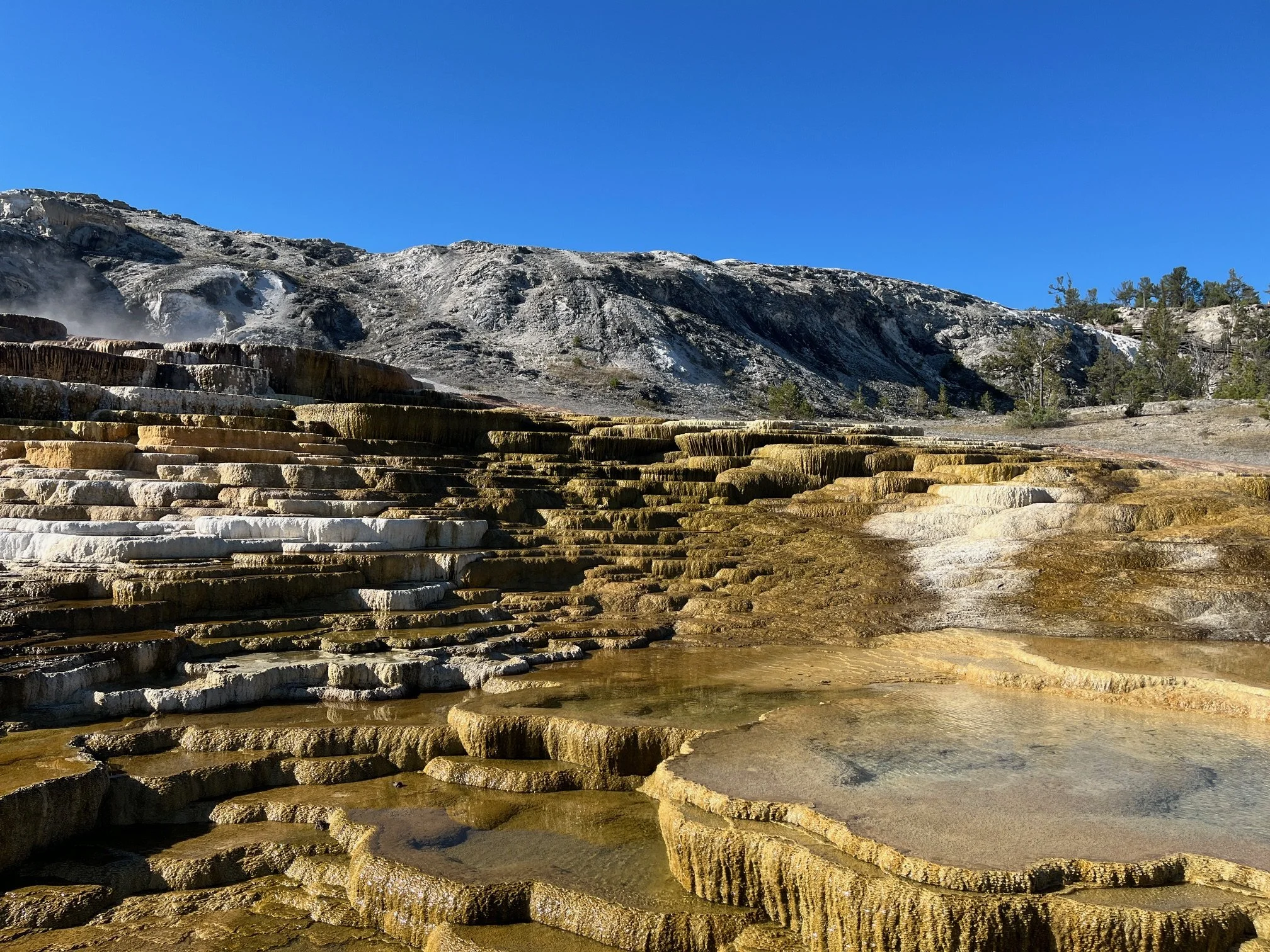 glacier-yellowstone-grand-teton-1-week-itinerary-mammoth-hot-springs.JPG