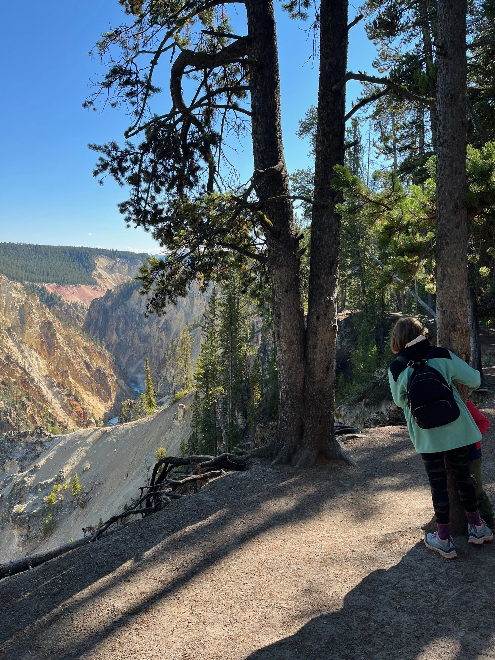 My kids on the South Rim Trail