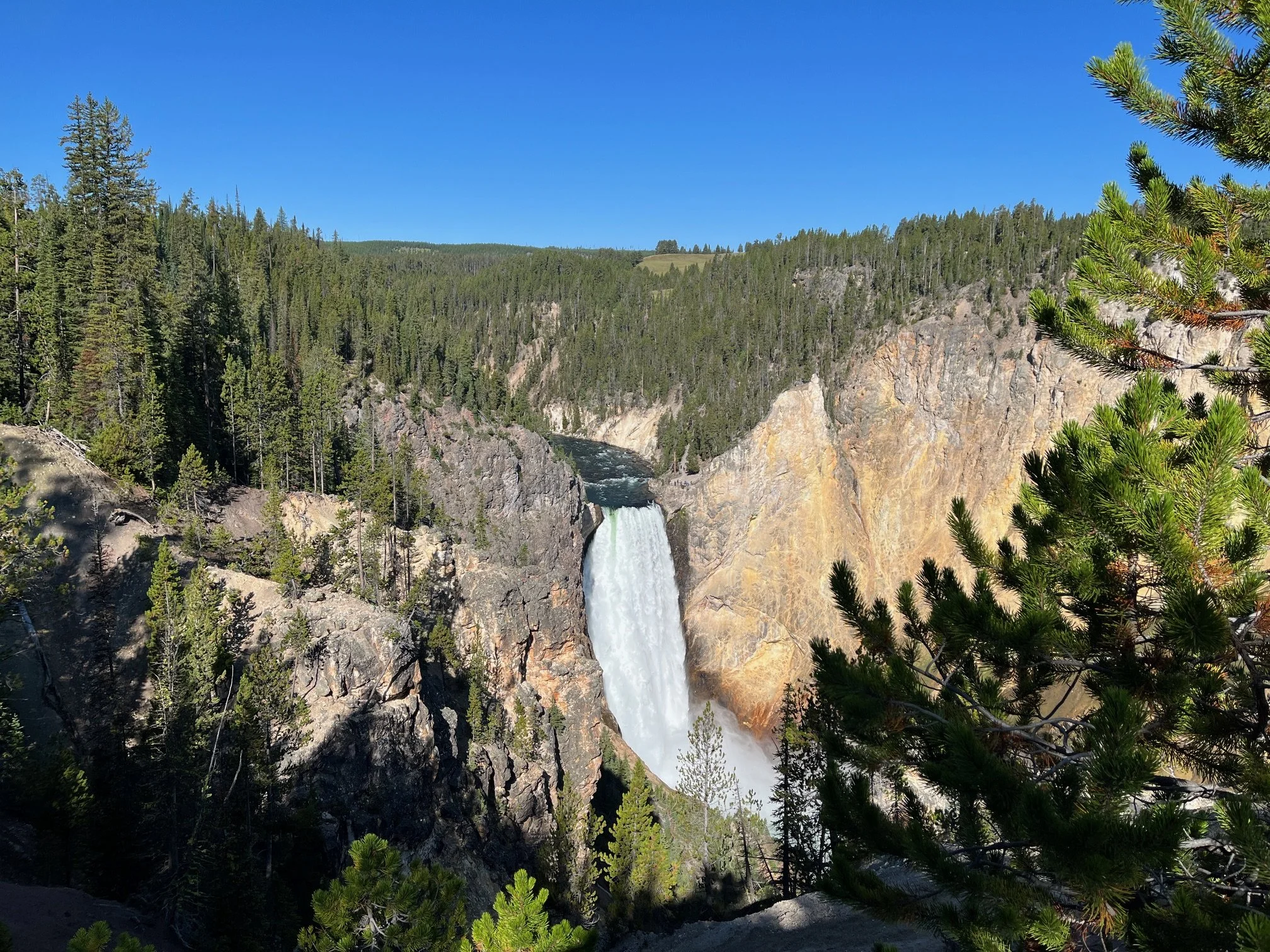 Falls from the trail