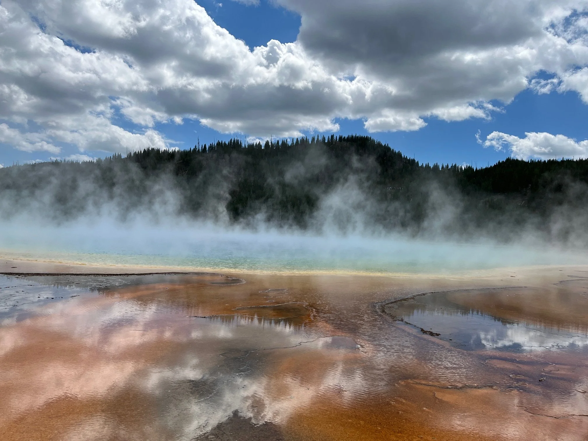View from the boardwalk