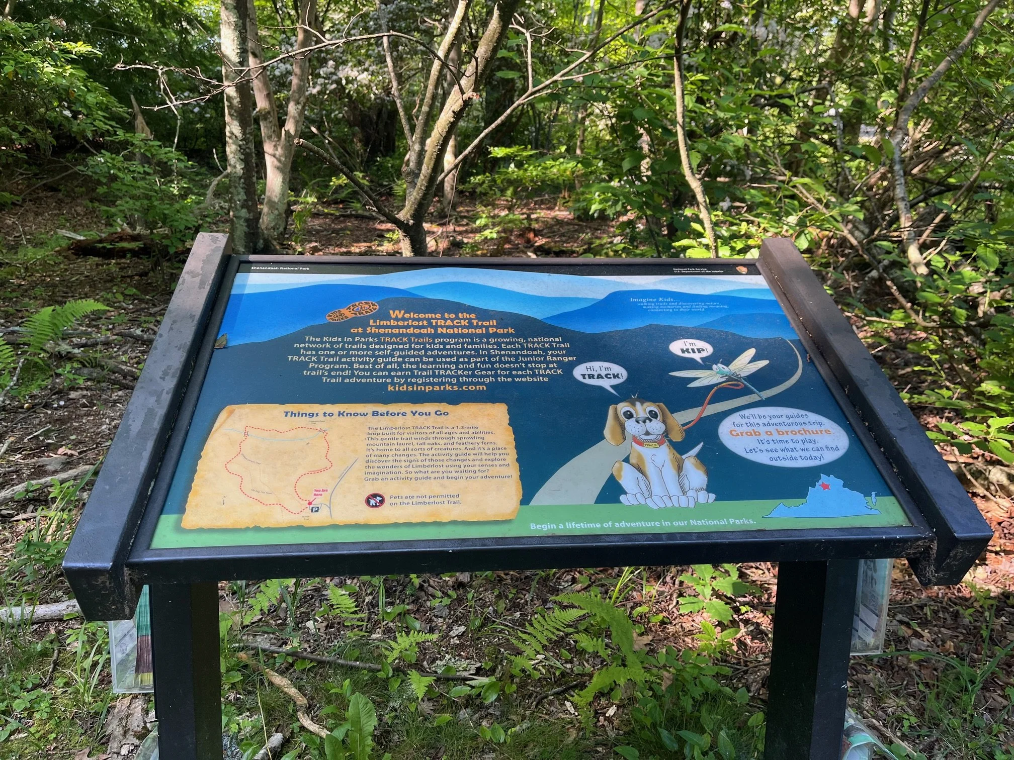 The Tracks Trail intro sign
