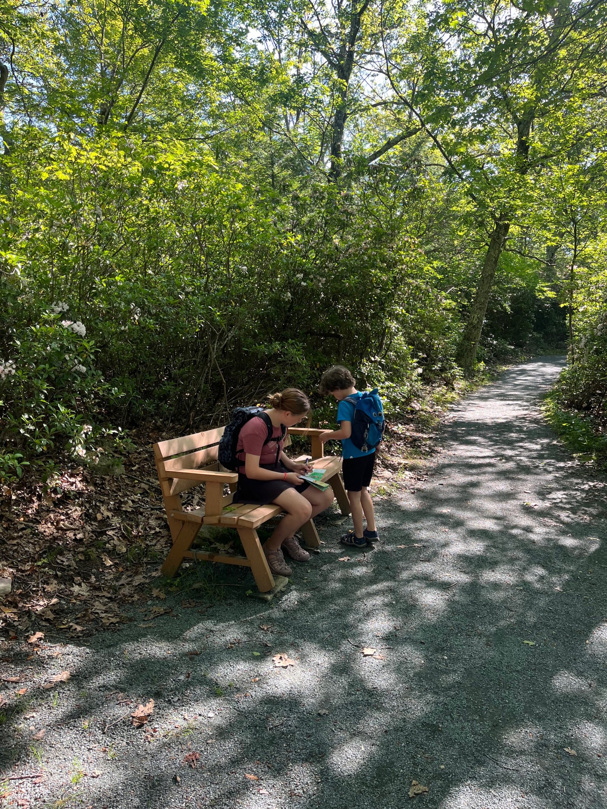 Working on their pamphlets