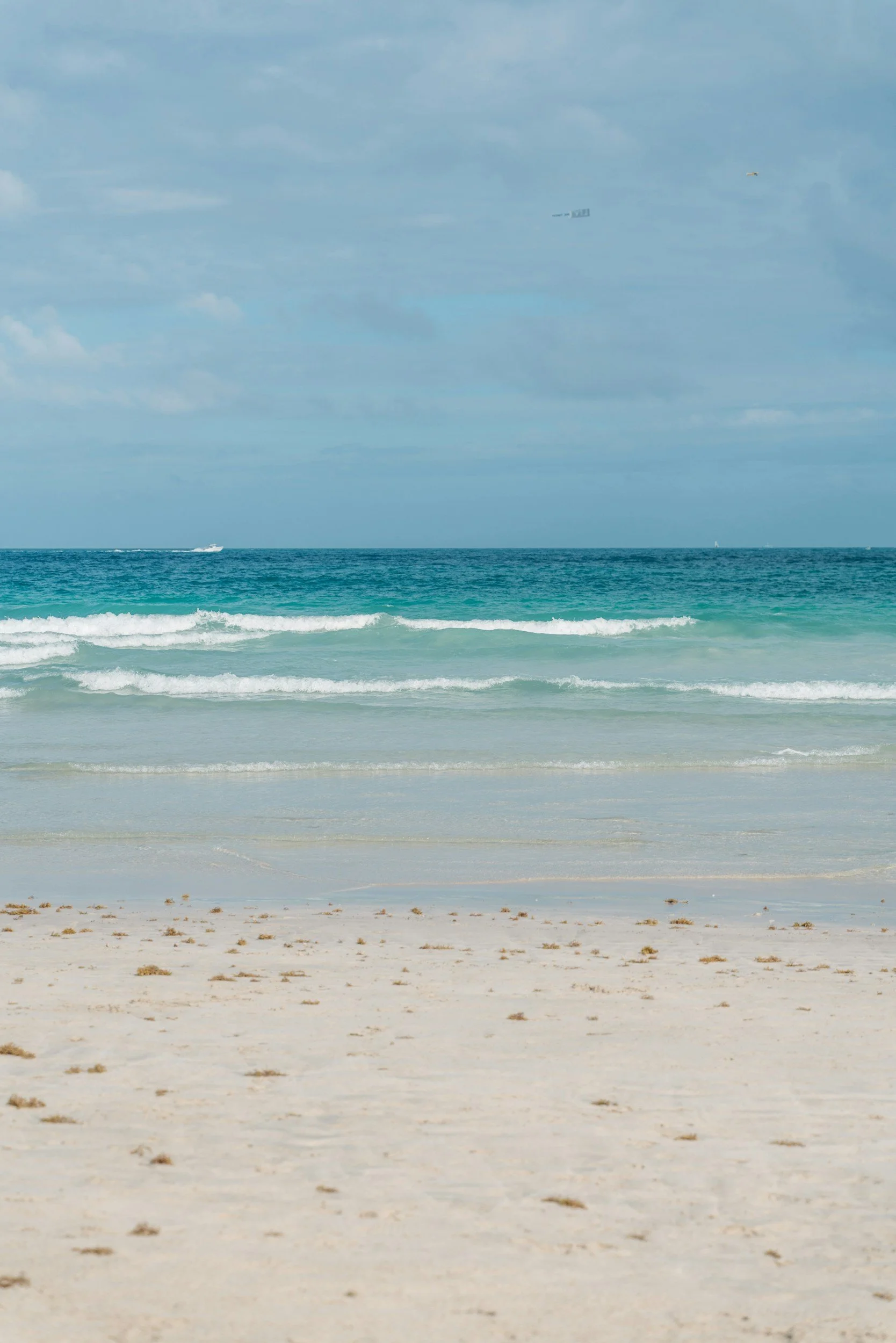 White sands with blue water lapping at shore in Biscayne Bay