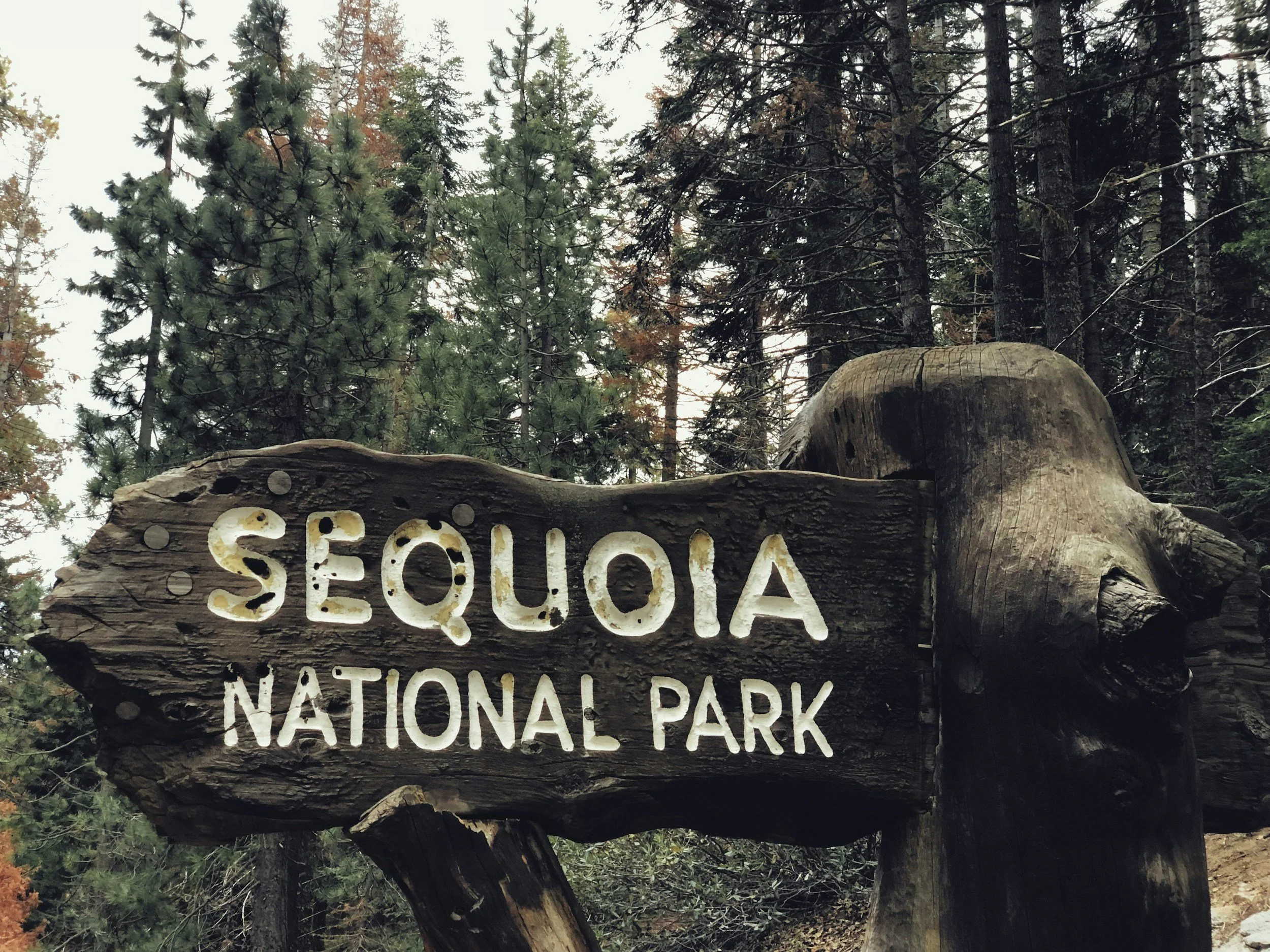 Rustic wood sign with white lettering at the entrance to Sequoia National Park