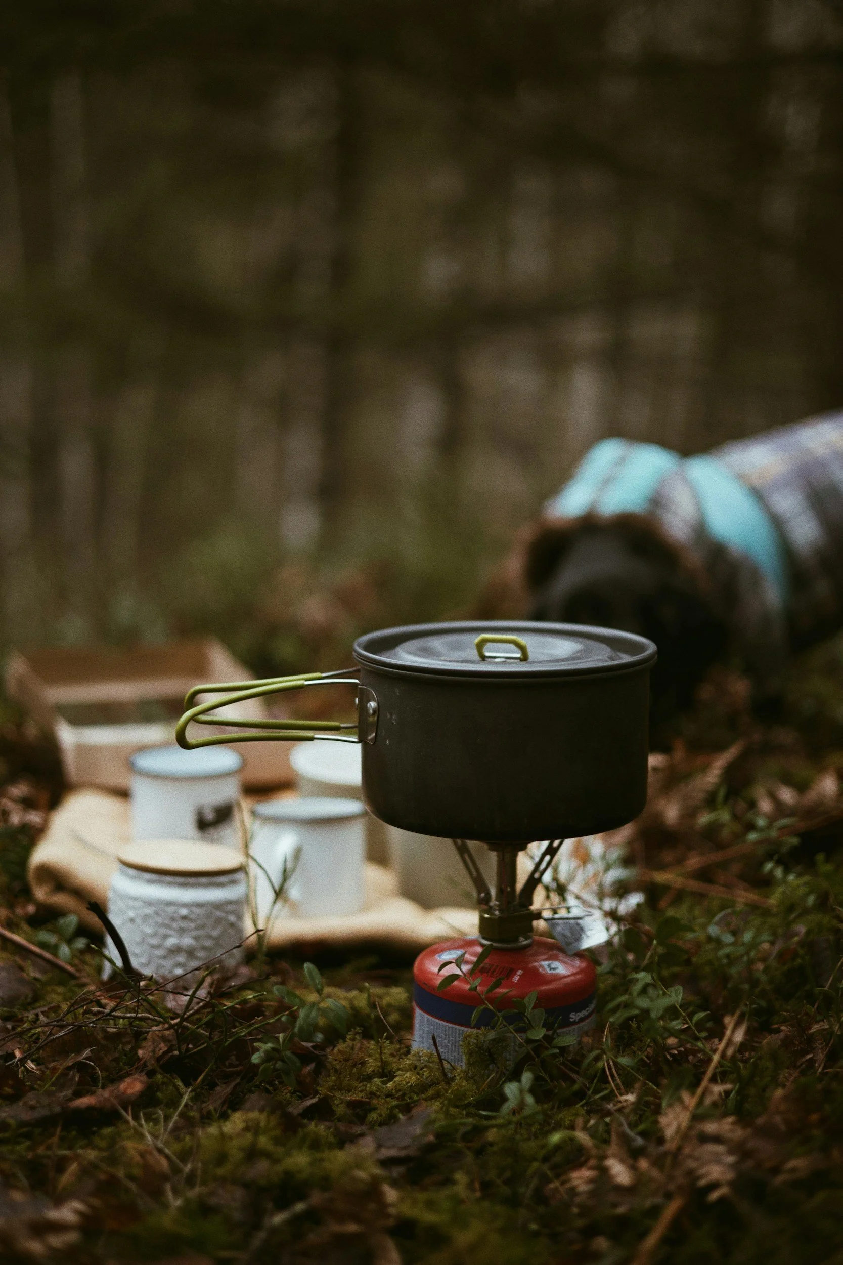 Camping pot on burner with cups in background