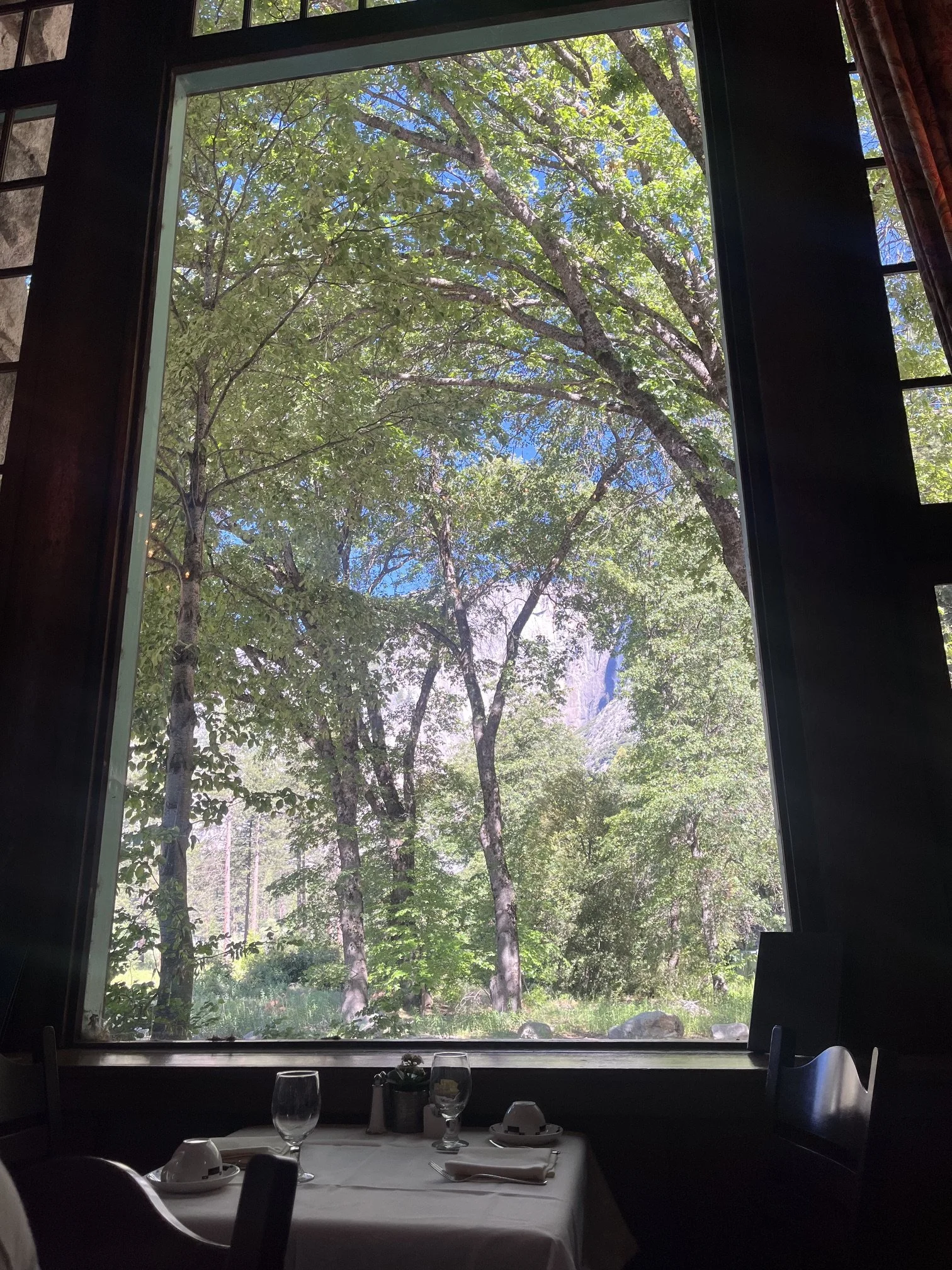 Views from the dining room
