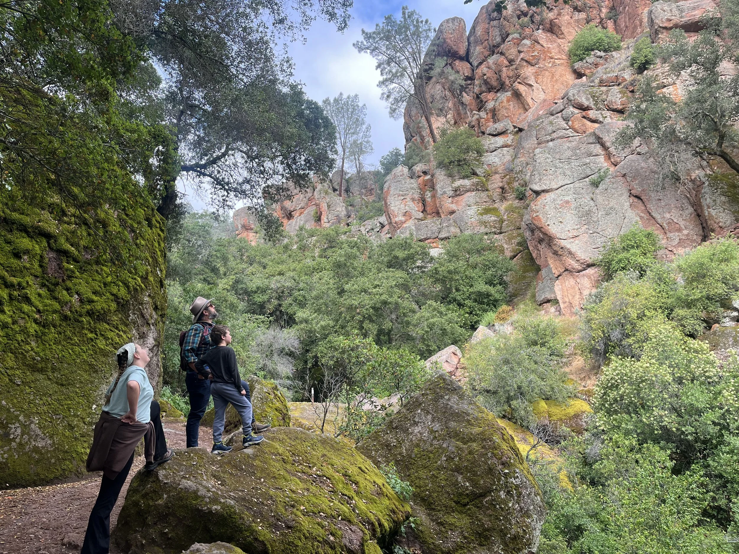 Pinnacles National Park