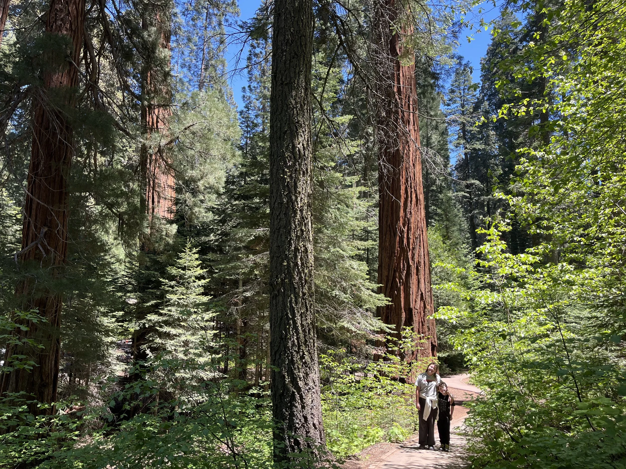 Sequoia National Park