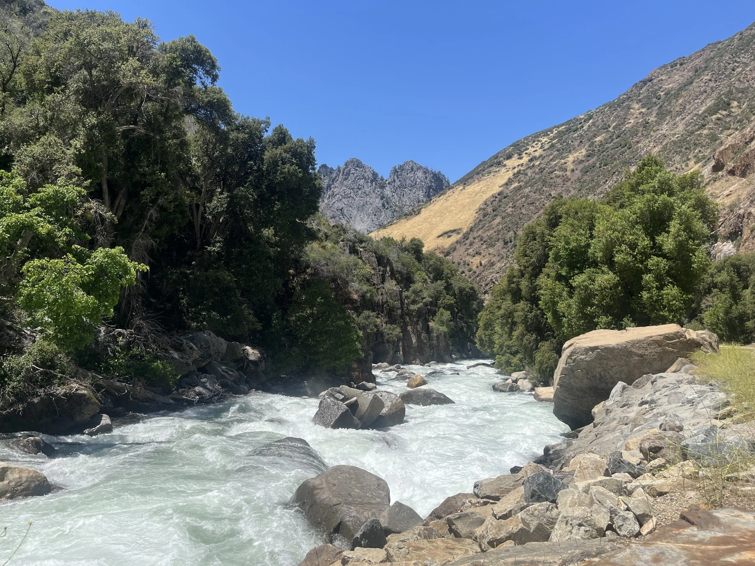 King's Canyon National Park