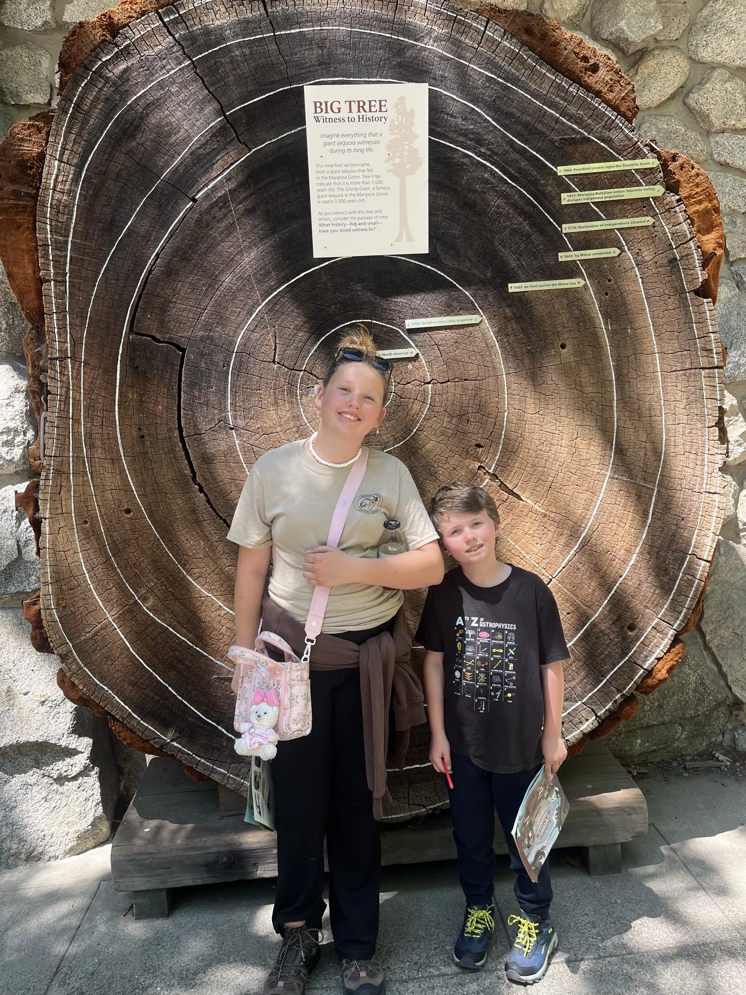 yosemite-national-park-with-kids-tree-history.jpeg