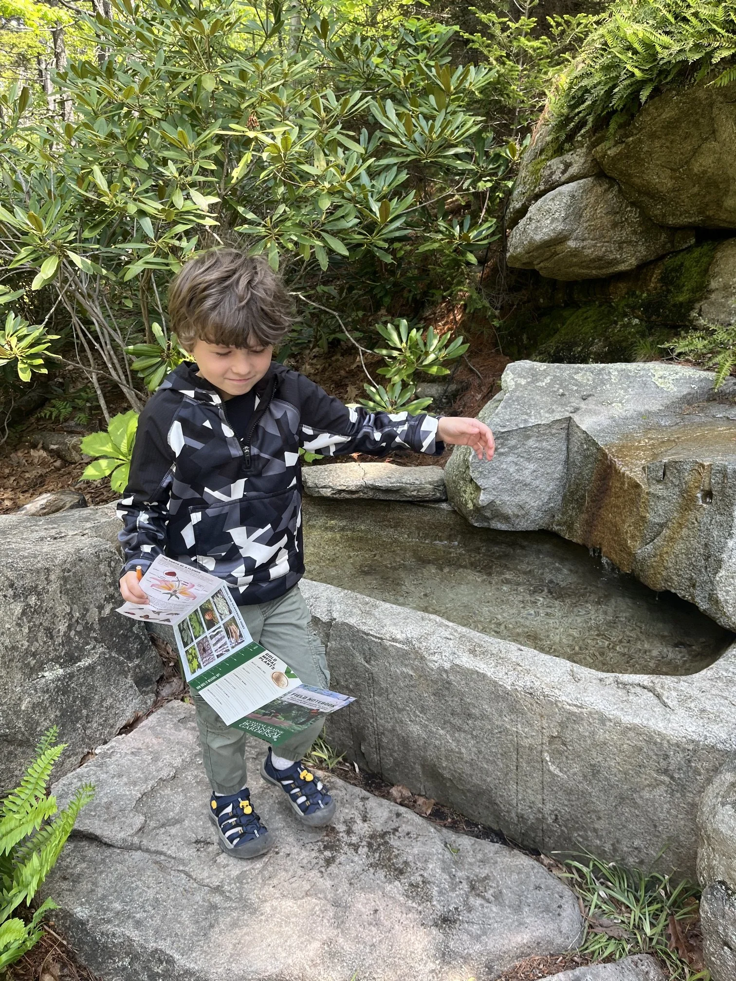 best-new-england-road-trip-families-boy-pamplets-garden.jpeg