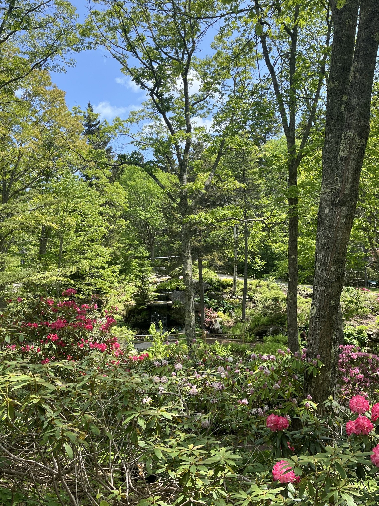best-new-england-road-trip-families-coastal-maine-gardens-landscape.jpeg