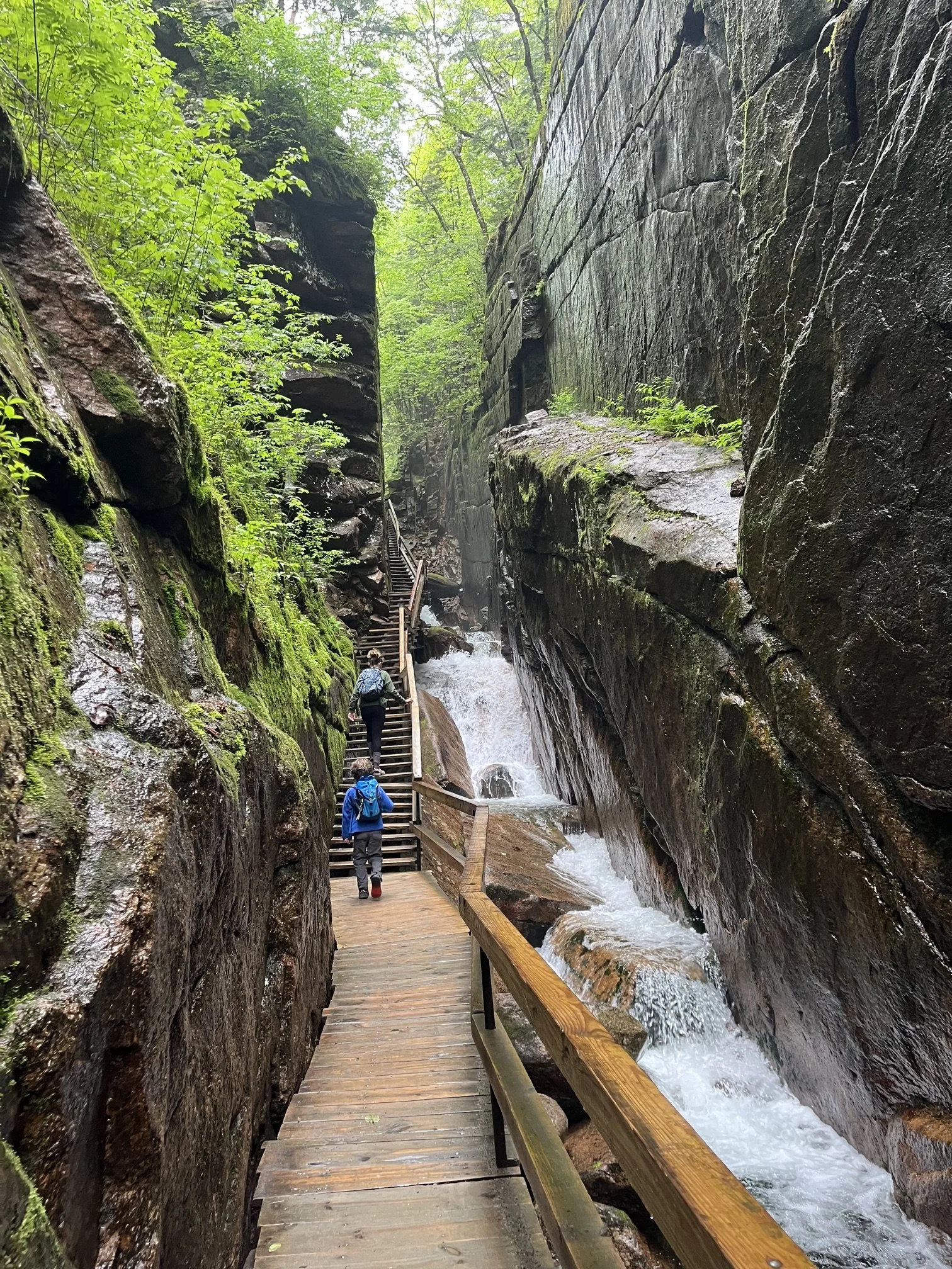 best-new-england-road-trip-families-flume-gorge-1.jpeg
