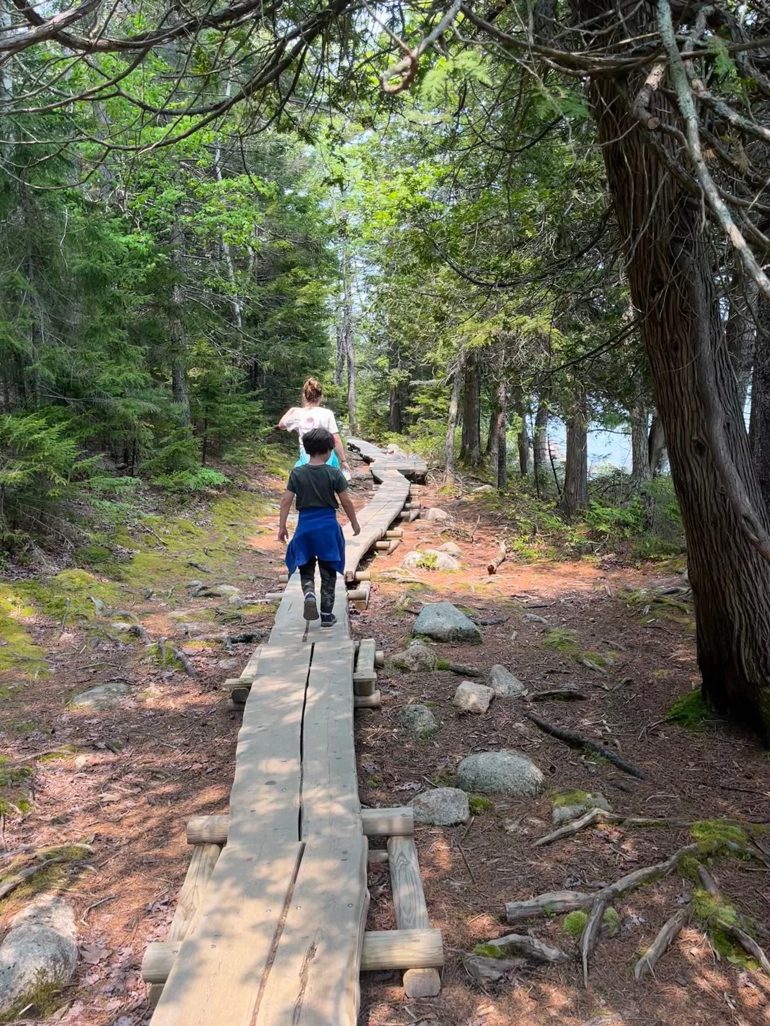 Jordan Pond Loop Trail