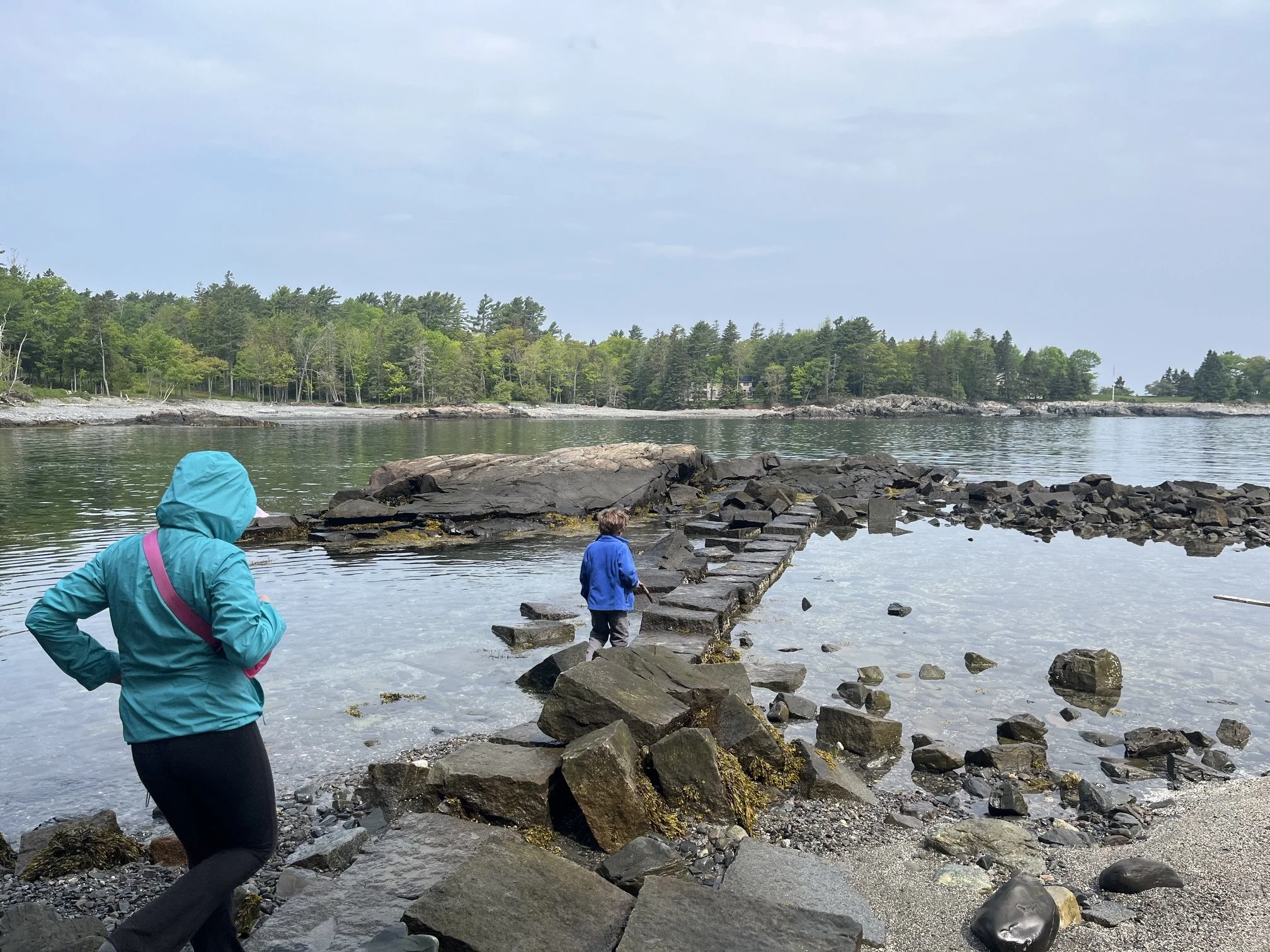 compass-harbor-trail-guide-acadia-national-park-swimming-area.jpeg