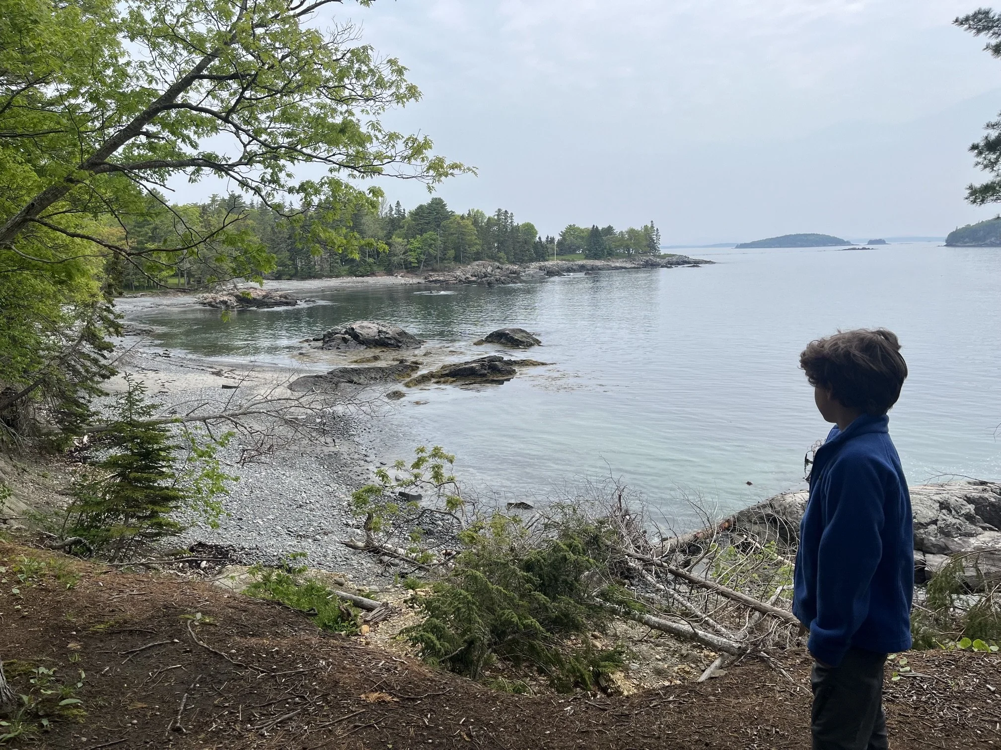 compass-harbor-trail-guide-acadia-national-park-harbor-boy.jpeg