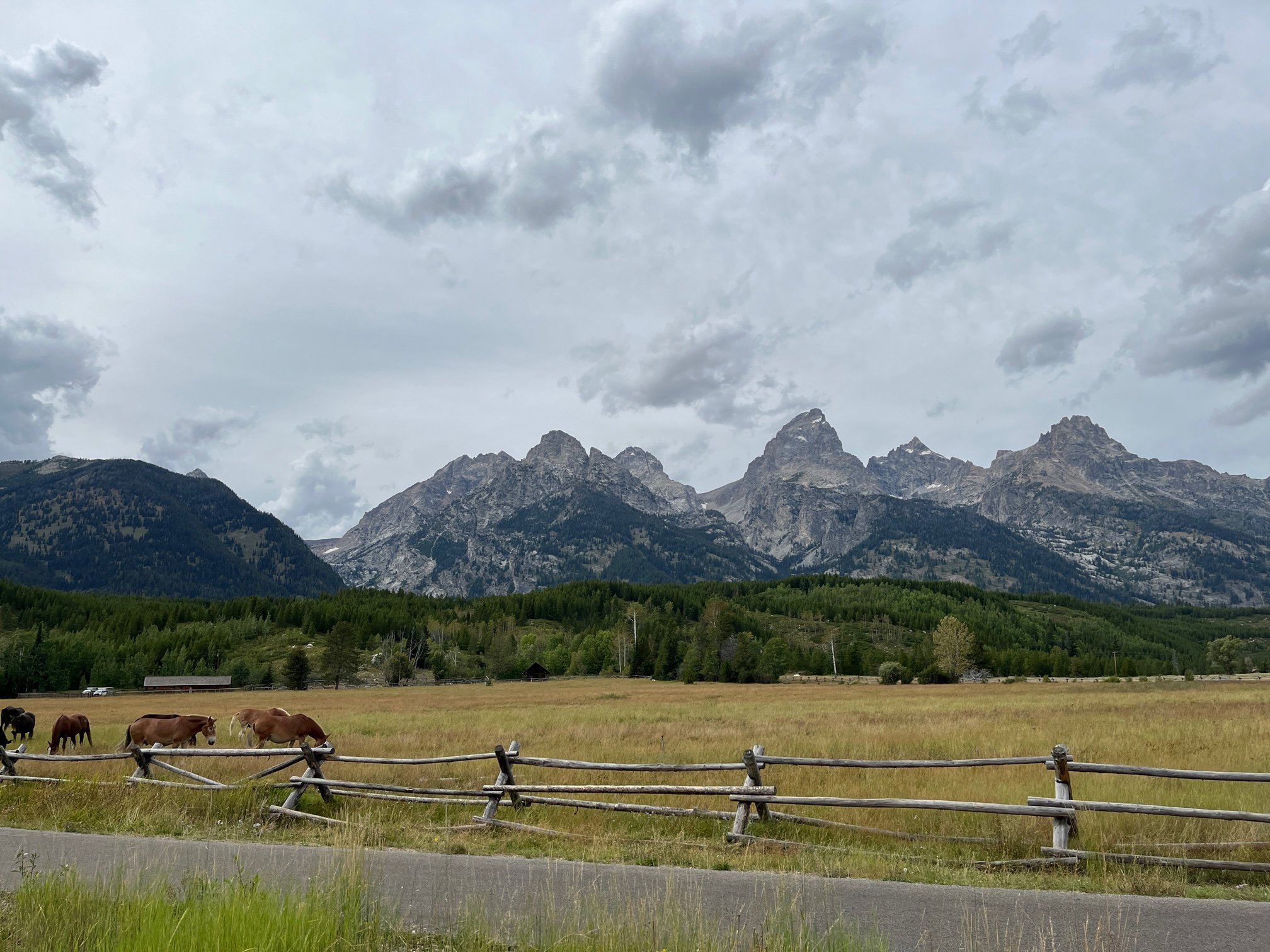 2-days-grand-teton-itinerary-horses.JPG