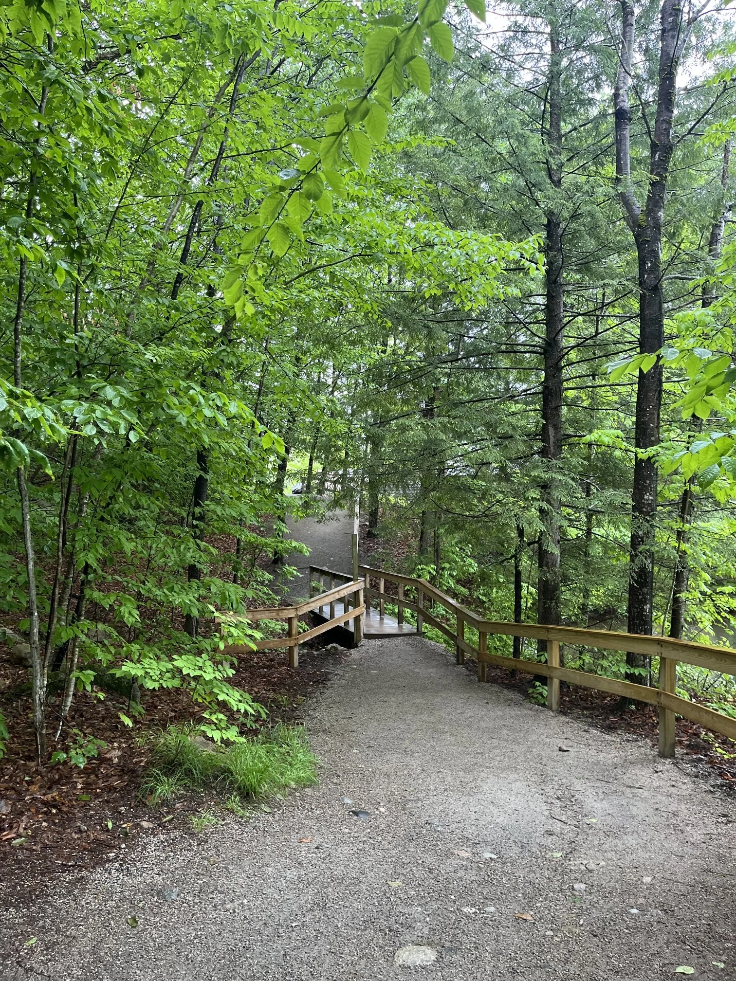 flume-gorge-franconia-notch-state-park-hiking-guide-1.jpeg