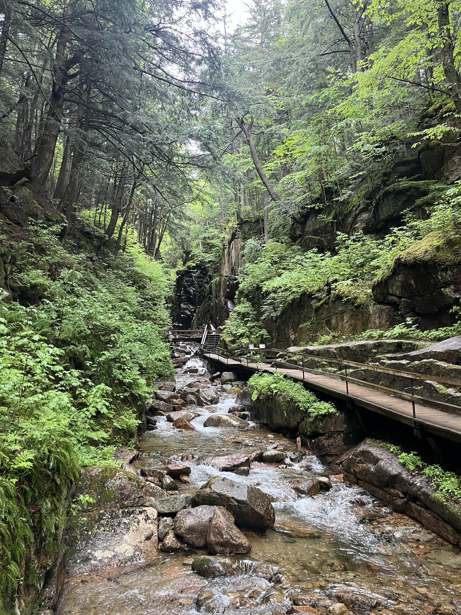 The bottom of the Gorge