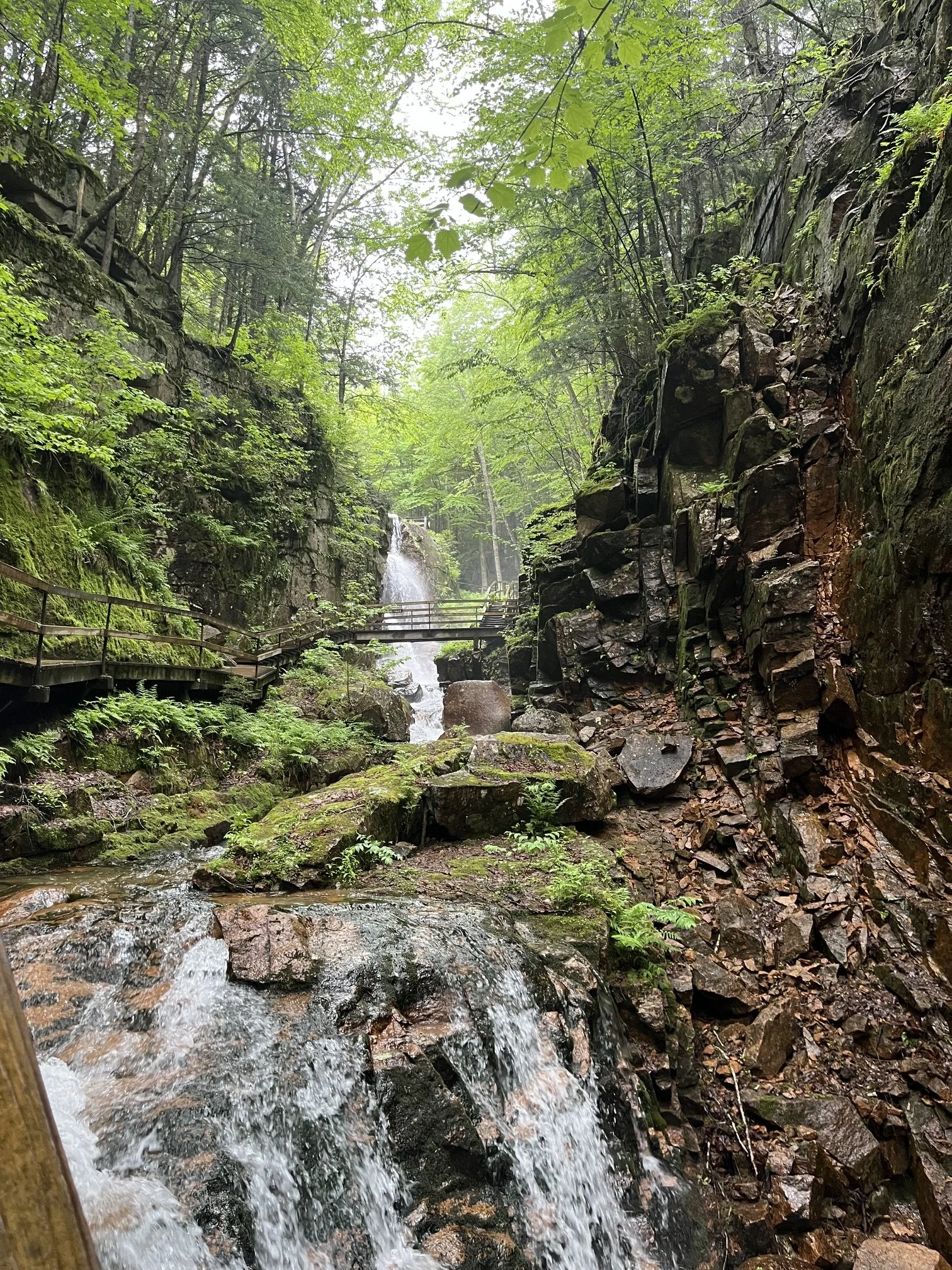flume-gorge-franconia-notch-state-park-hiking-guide-avalanche-falls-1.jpeg