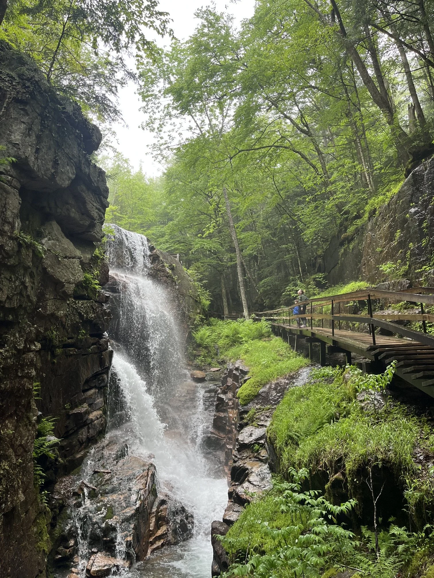 flume-gorge-franconia-notch-state-park-hiking-guide-avalanche-falls-3.jpeg