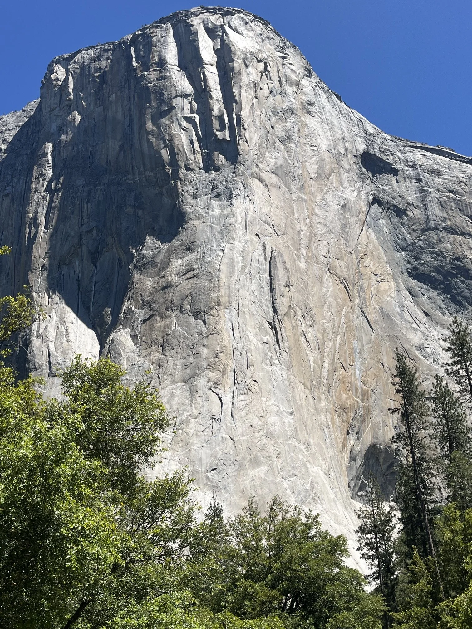 Can you spot the climber on El Capitan?