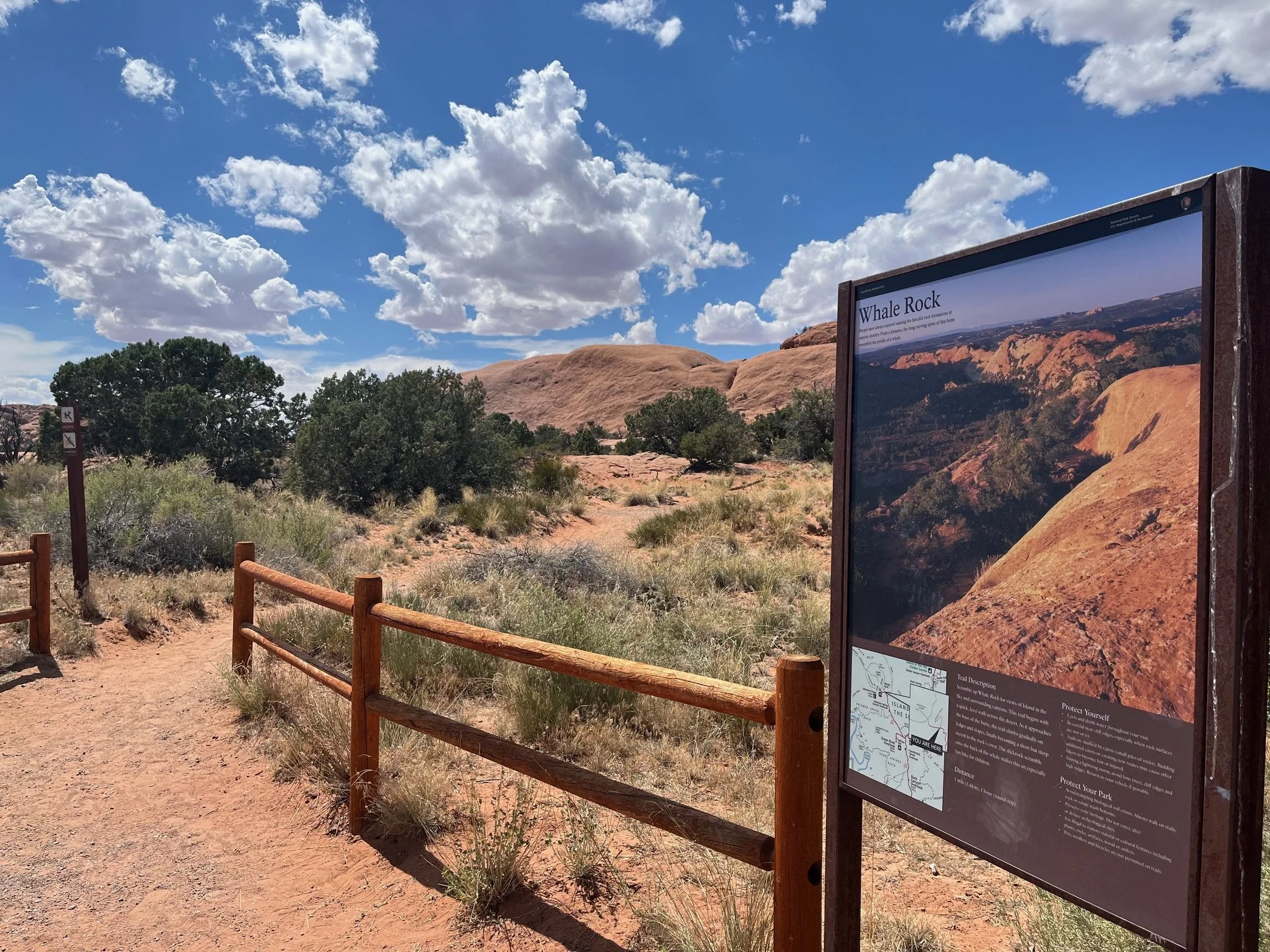 Whale Rock Trailhead