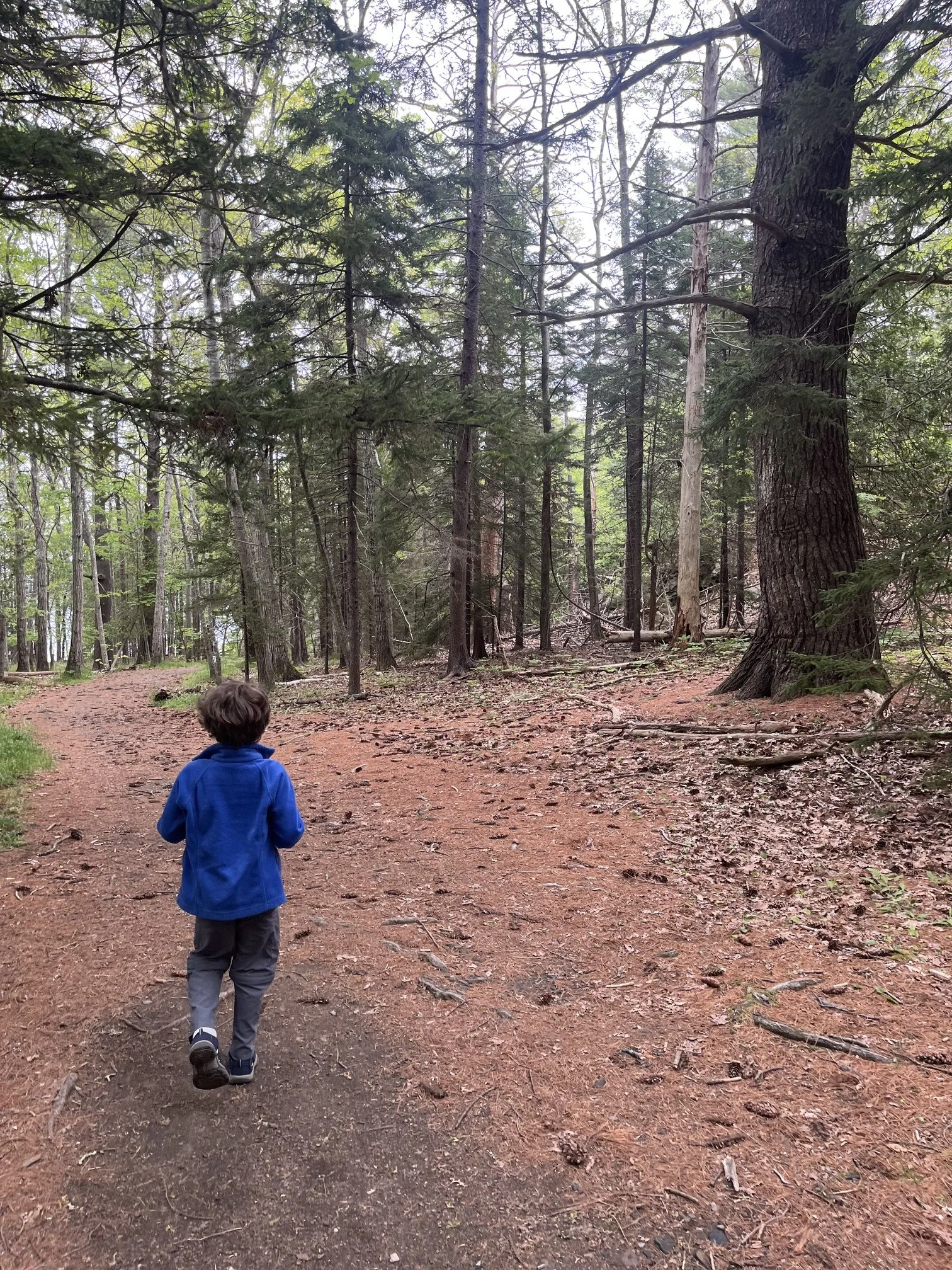 The author's son walking on the trail with a blue jacket on