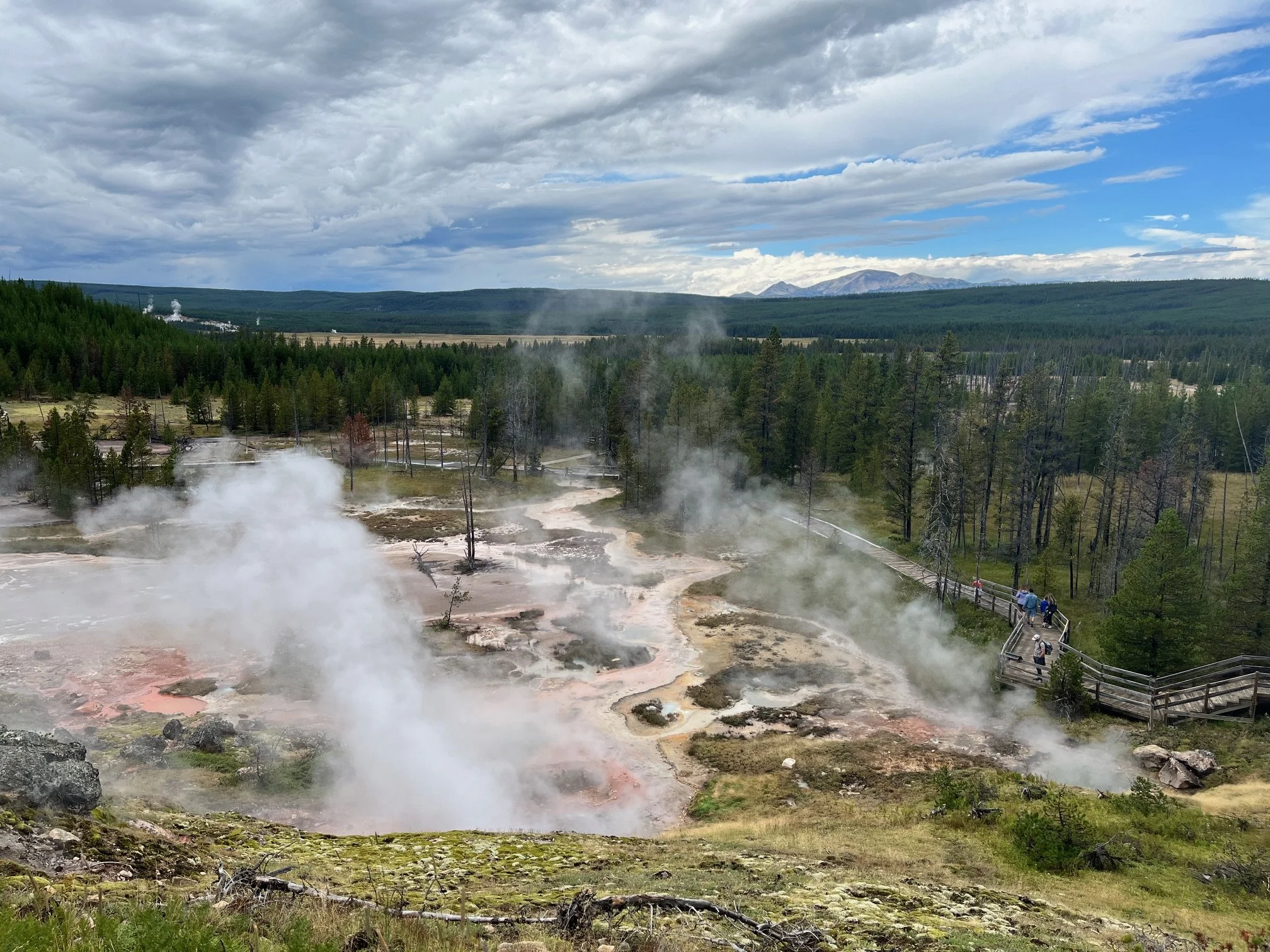 steam from hot springs below with wooden boardwalk and lodgepole pines in background