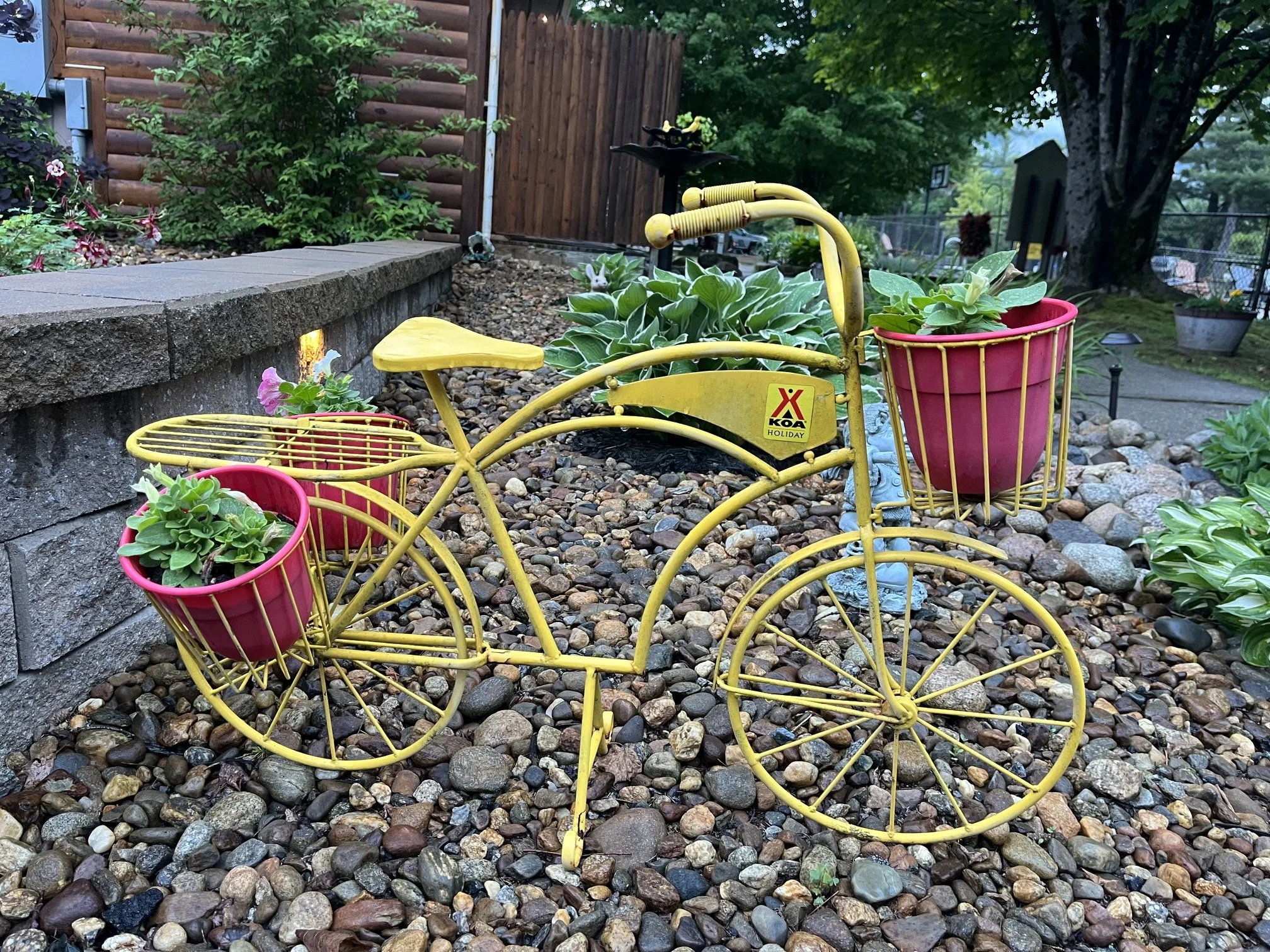 A planter that looks like a yellow bicycle with a KOA sticker on the front