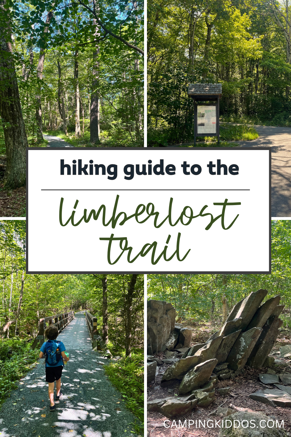 Limberlost Trail in Shenandoah National Park: A Hiking Guide | CampingKiddos.com