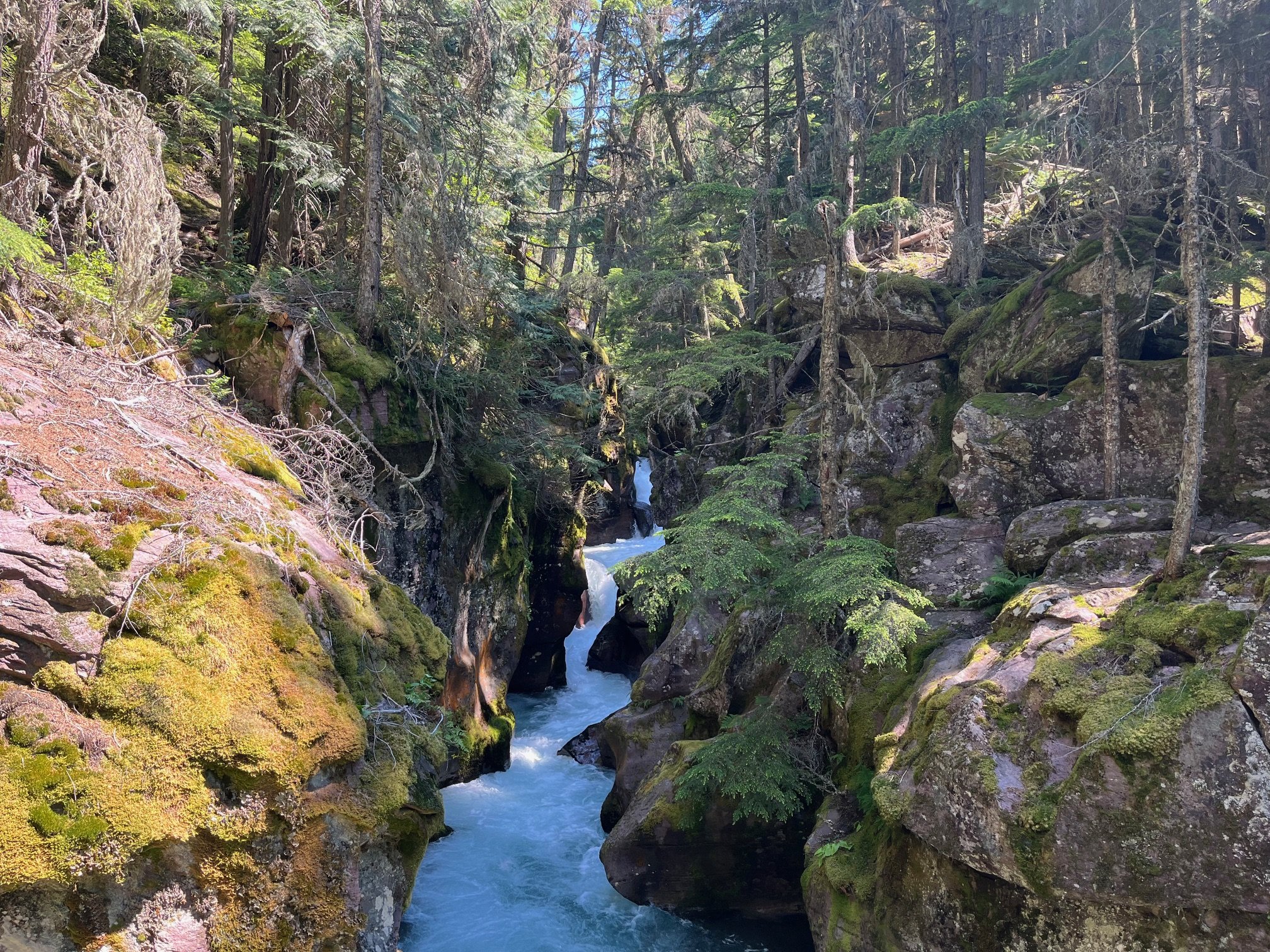 Avalanche Gorge on Trail of the Cedars in Glacier National Park