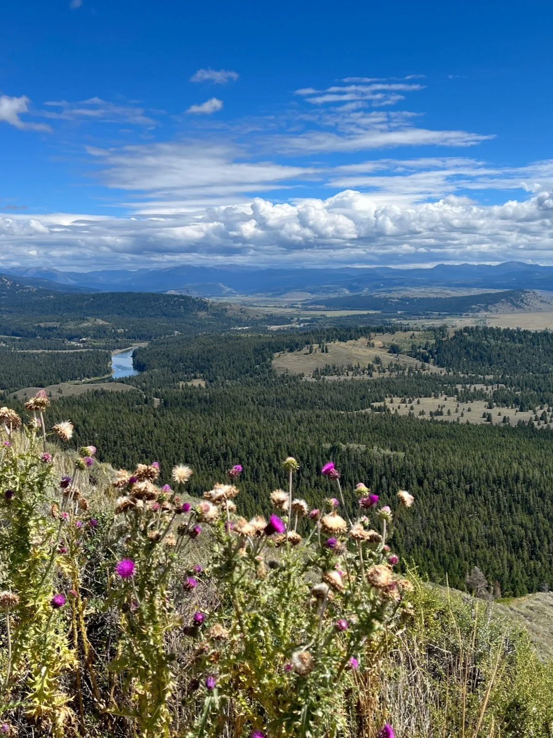 Overlook at Signal Mountain of Snake River and Jackson Hole in Grand Teton National Park