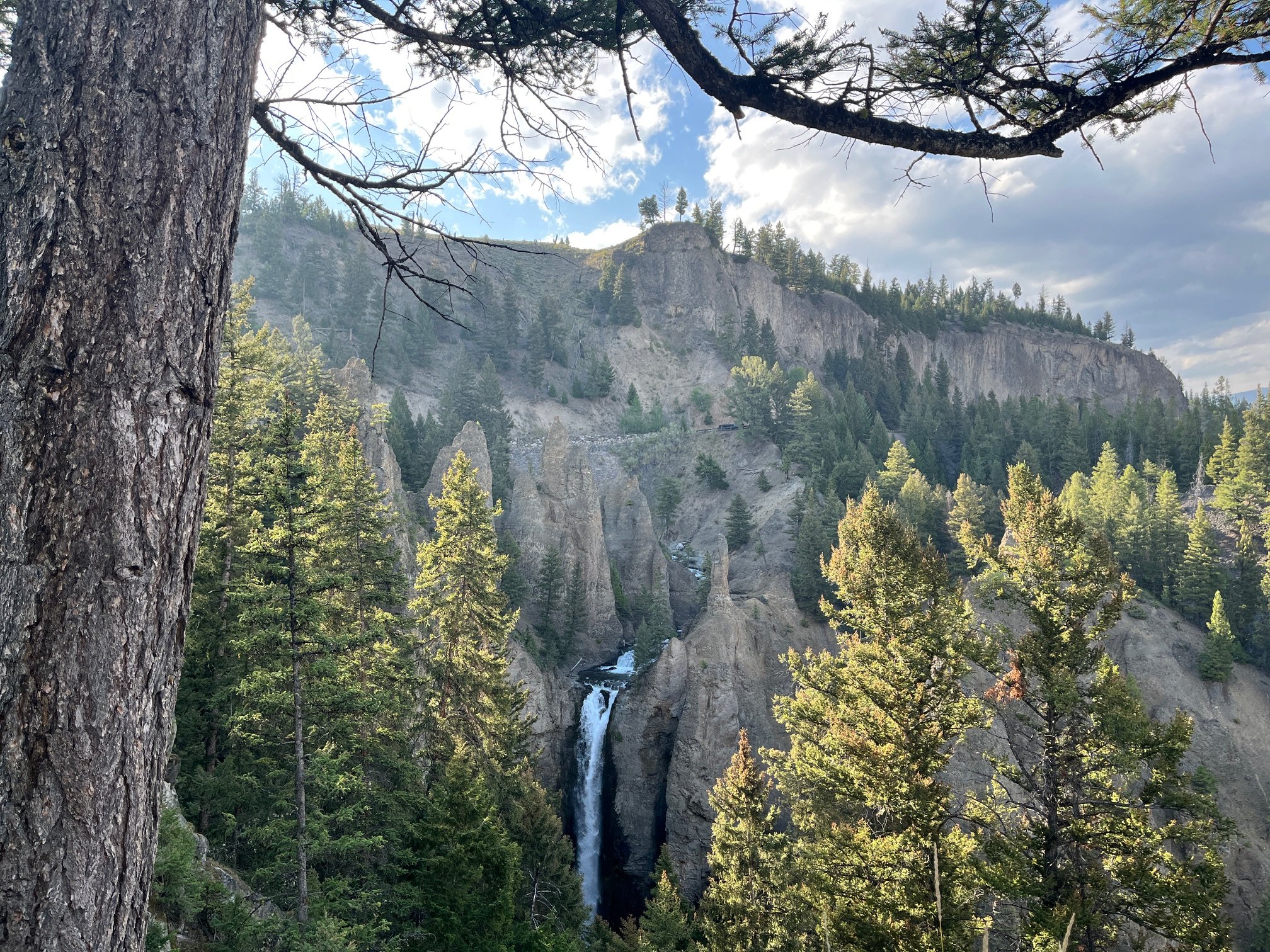 Tower Falls through the trees as seen from the overlook area