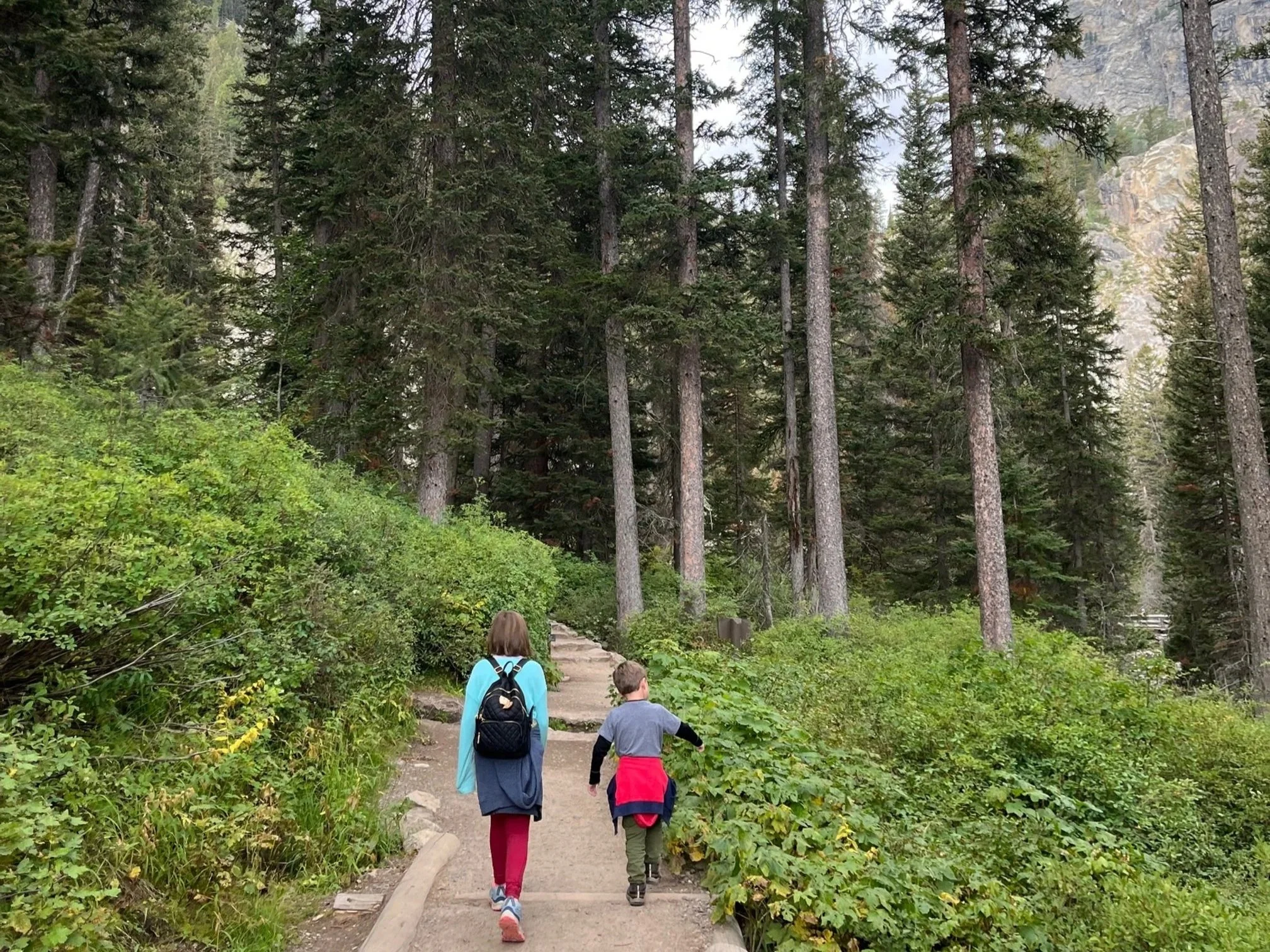 The author's children walking on a trail in Grand Teton National Park with large pine trees ahead