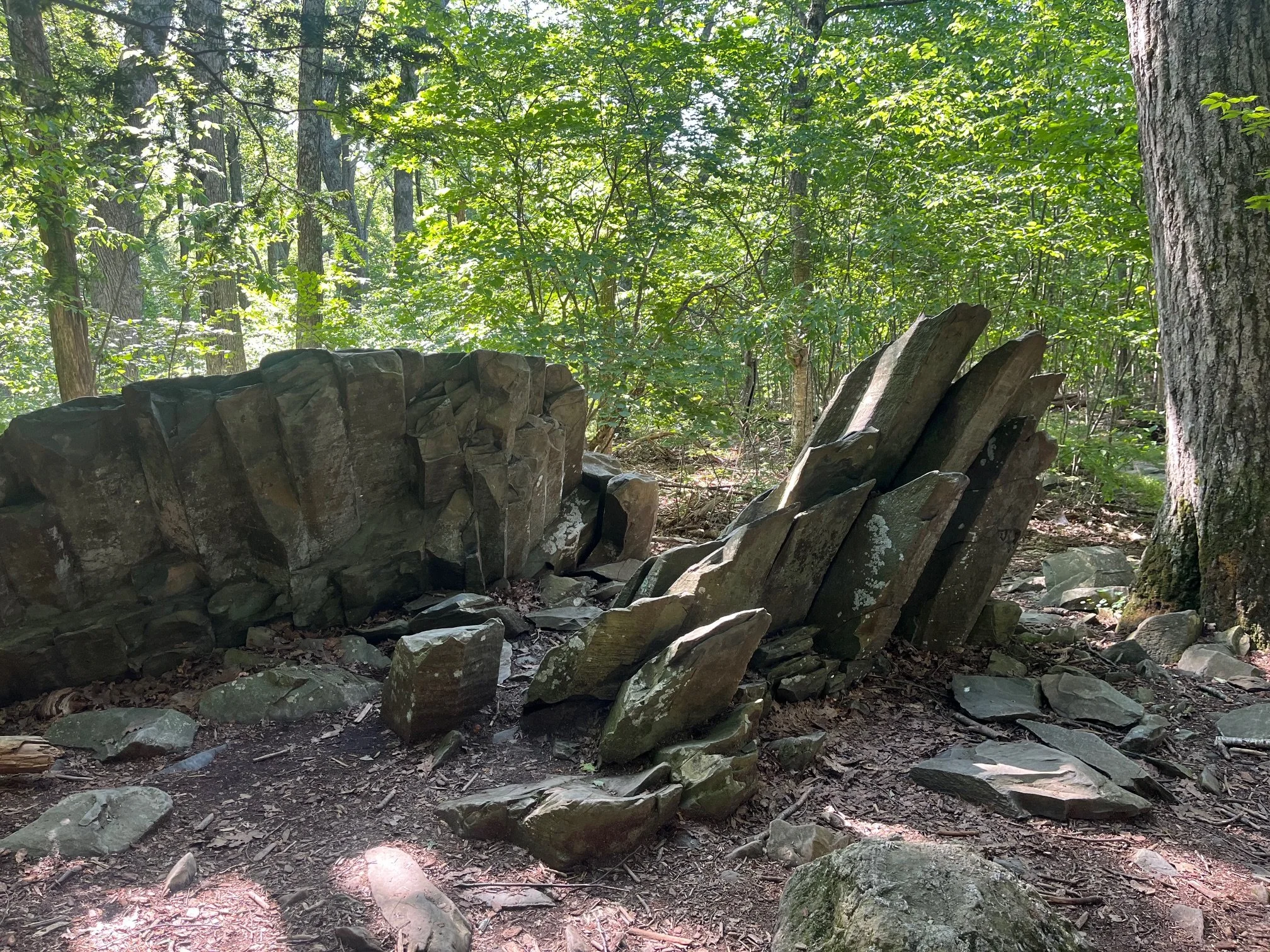 Jagged rocks along the Limberlost Trail