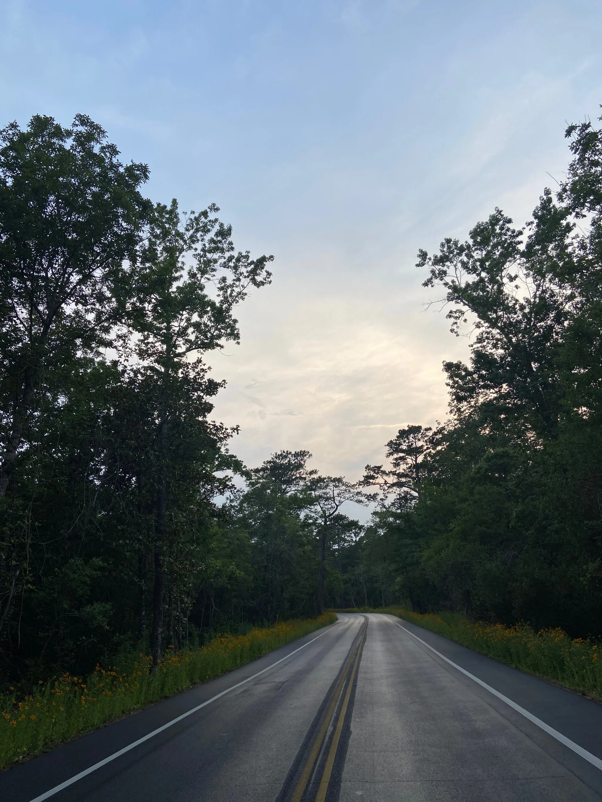 Park Road in Davis Bayou area of Gulf Islands National Seashore