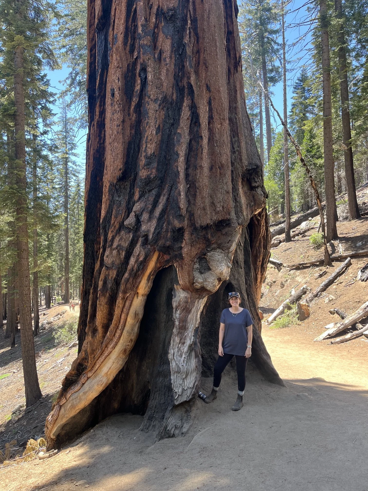 The author dressed in a grey tunic and leggings while standing at the base of a gigantic sequoia tree