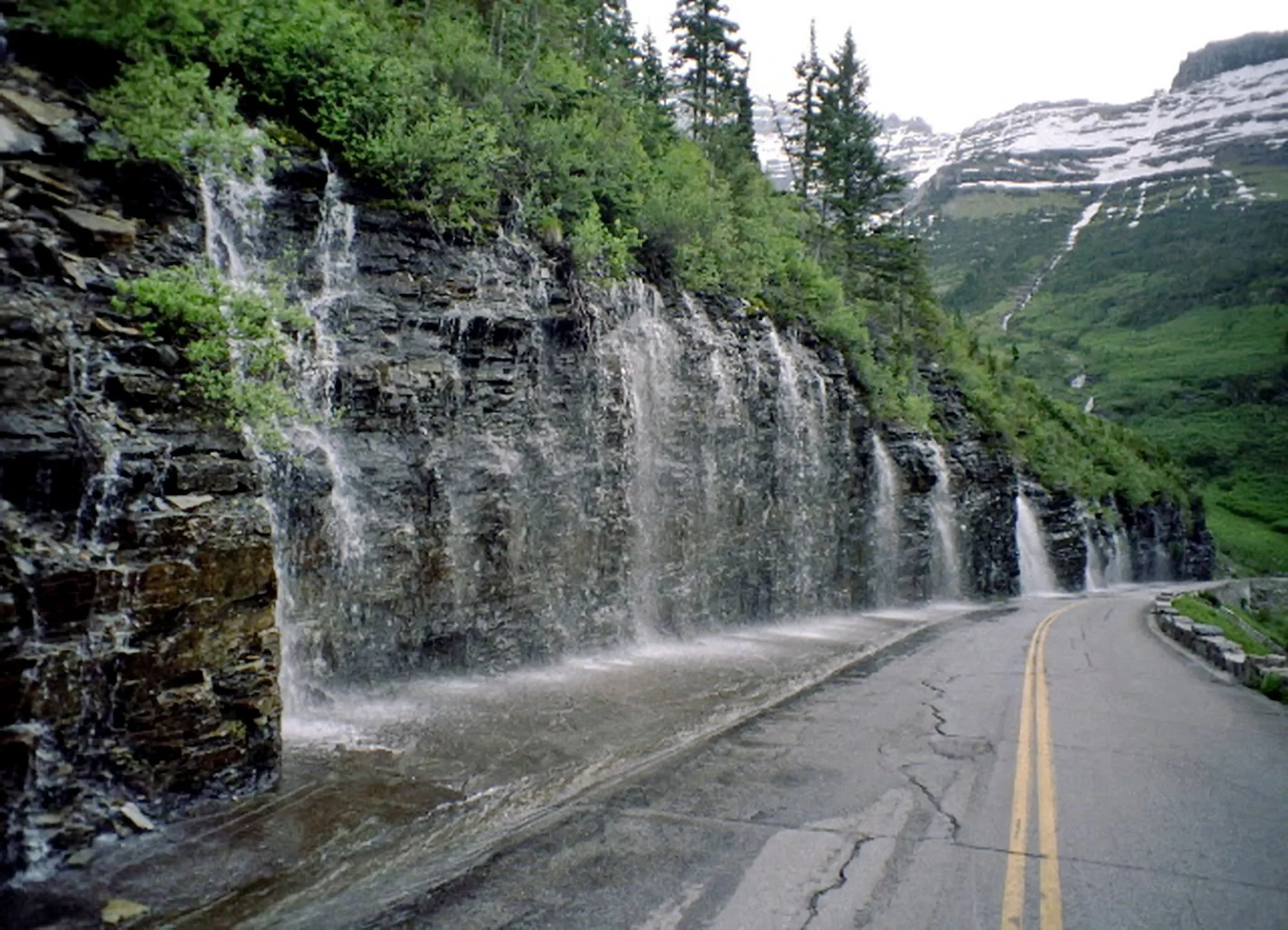 The Weeping Wall in Glacier National Park