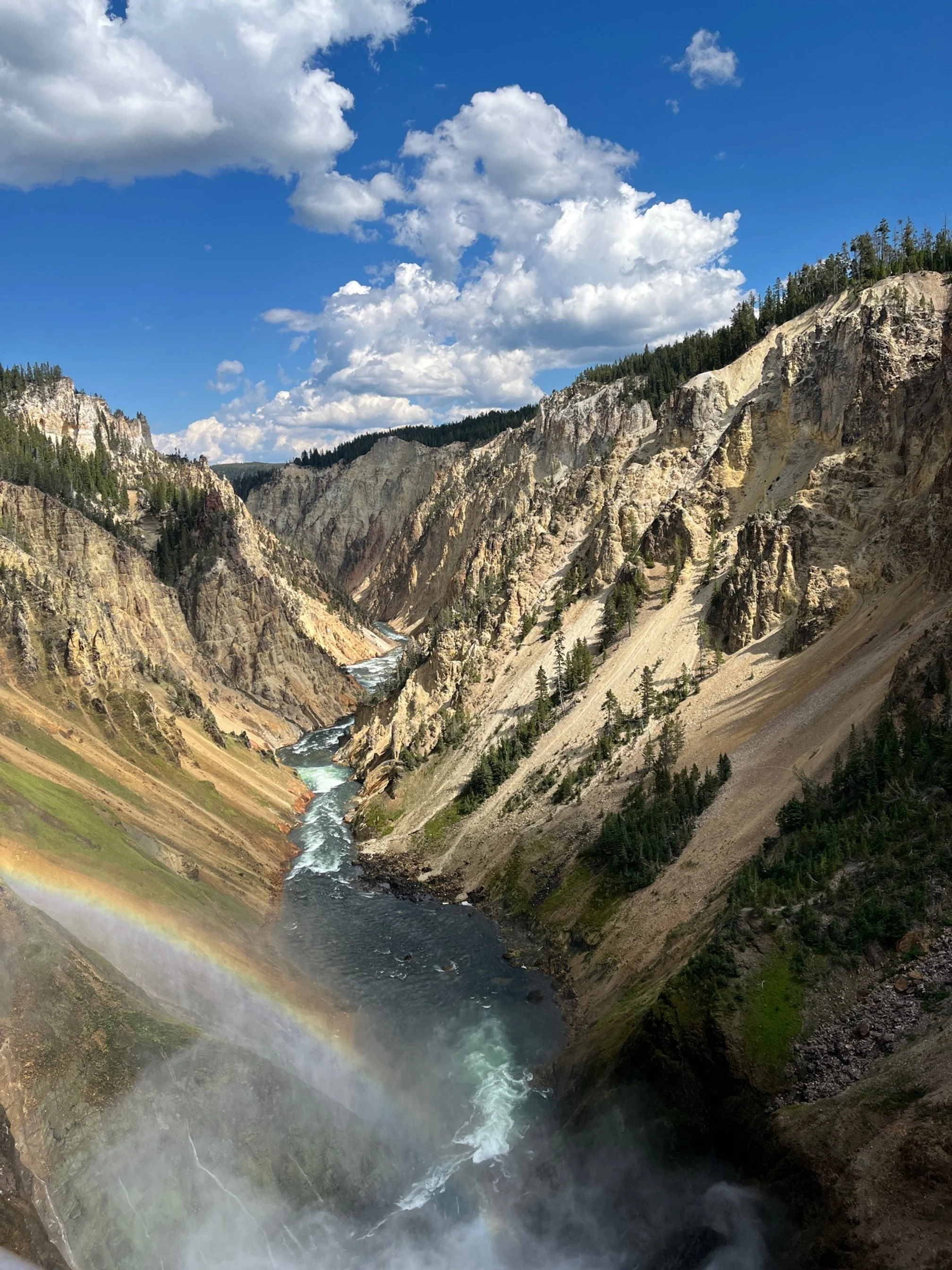 A Guide to Easy Hikes in Yellowstone National Park