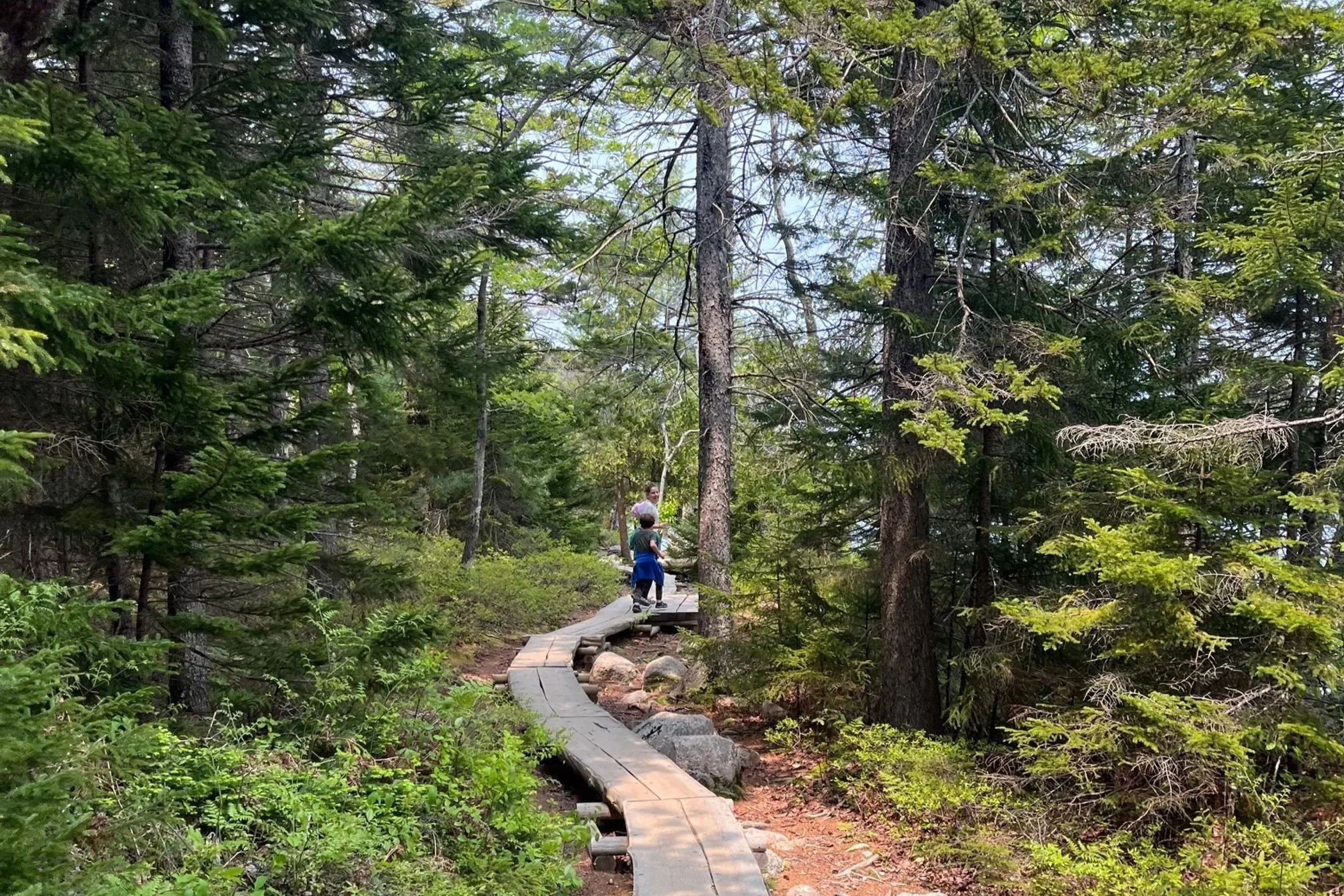 The author's children run along the Jordan Pond loop trail in Acadia National Park